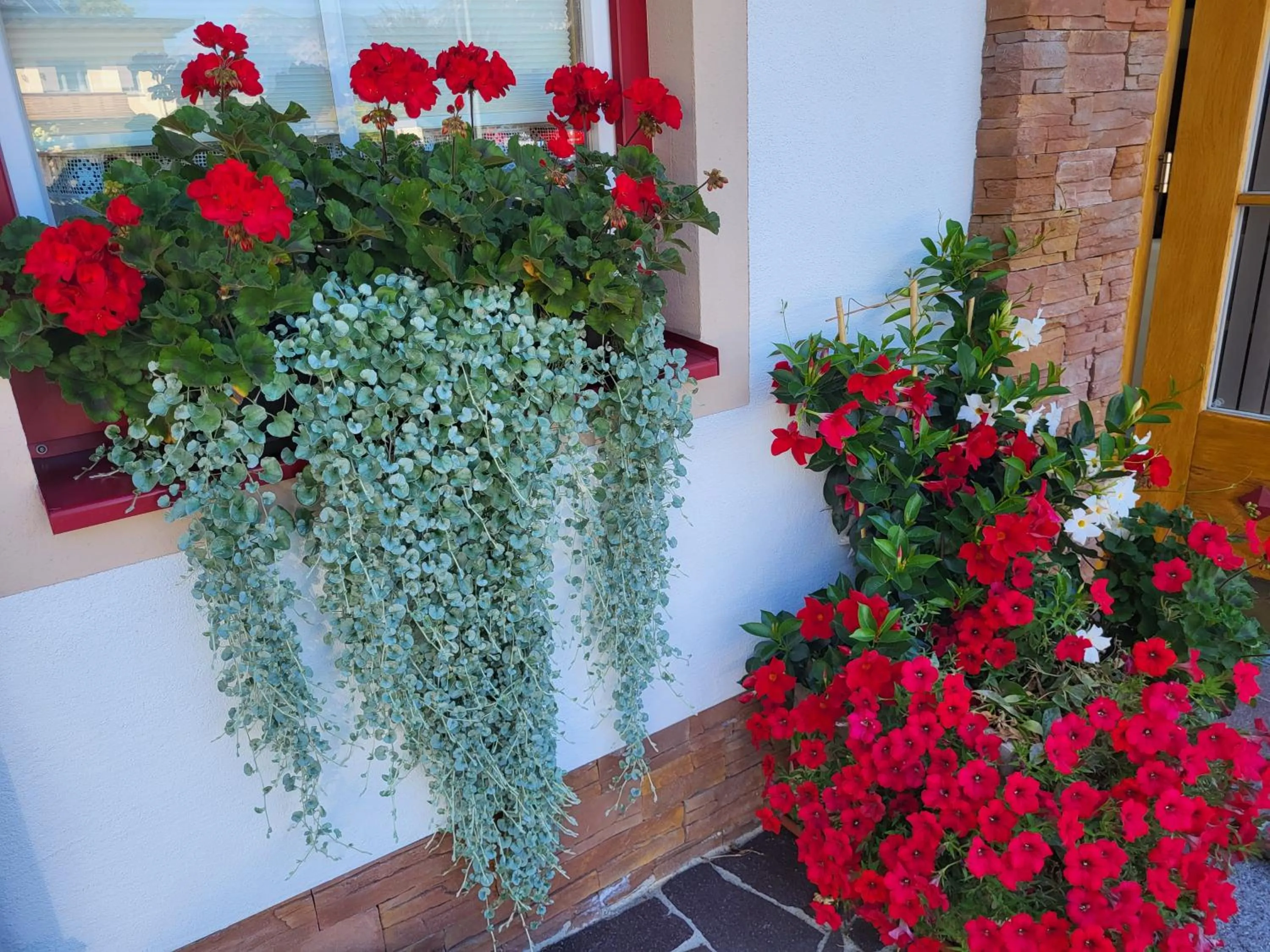 Property building in Hotel Garni Landhaus Trenkenbach