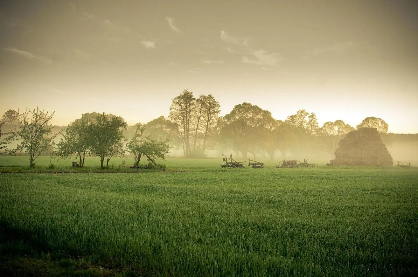 Natural landscape in Hotel Barczyzna Medical Spa