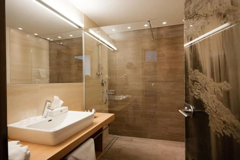 Double Room - single occupancy in Hotel Bergblick 4 Sterne Superior Double Room - single occupancy in Hotel Bergblick 4 Sterne Superior