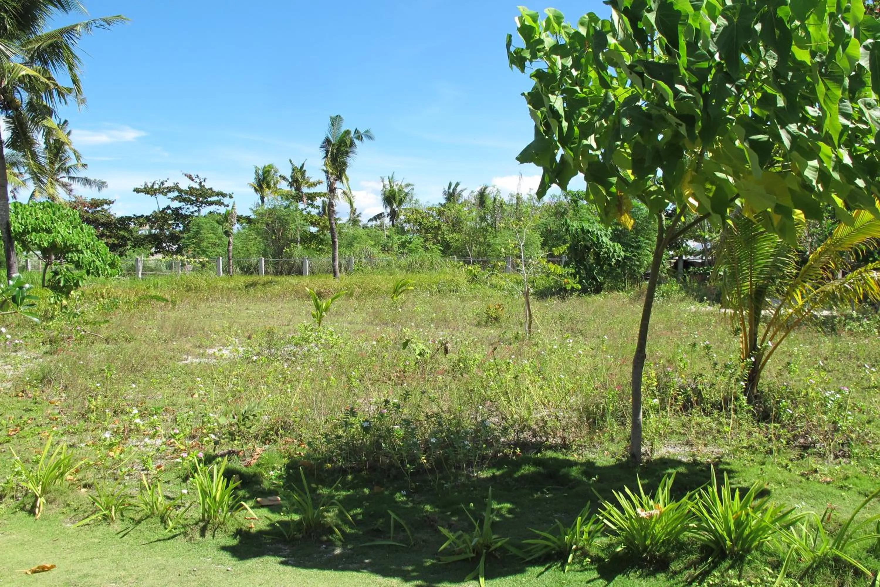 Garden view in Celtis Resort