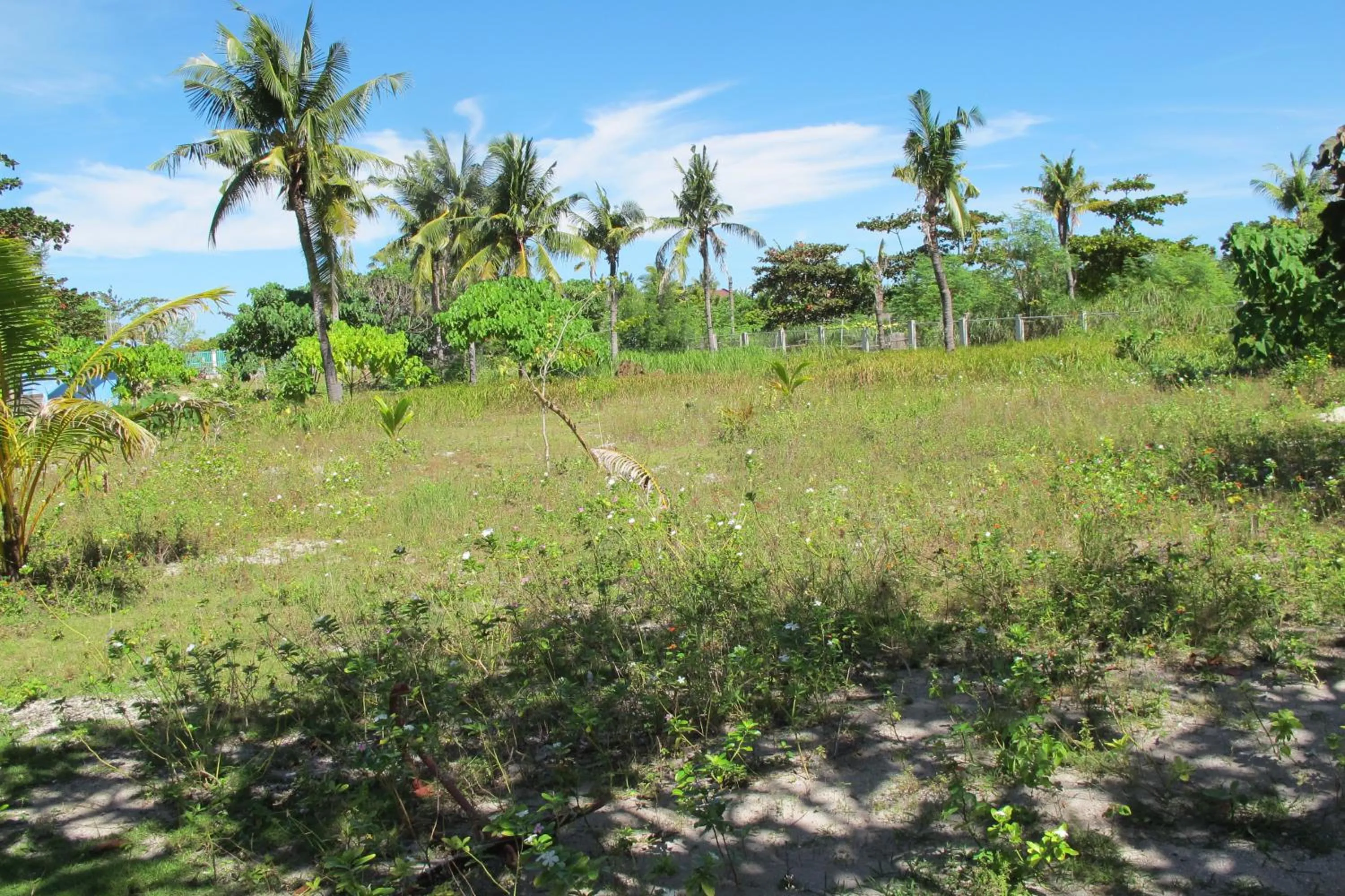 Garden view in Celtis Resort