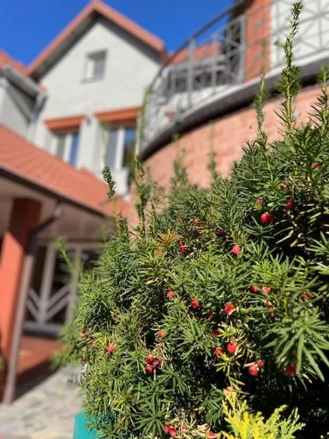 Property building in Hotel Nad Pisą