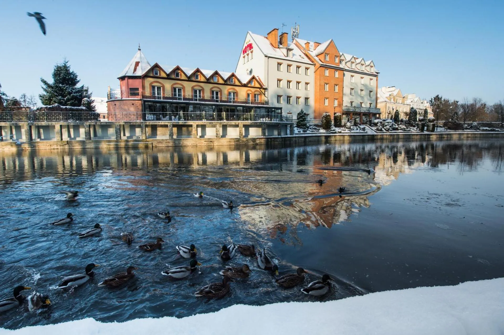 Property building in Hotel Nad Pisą