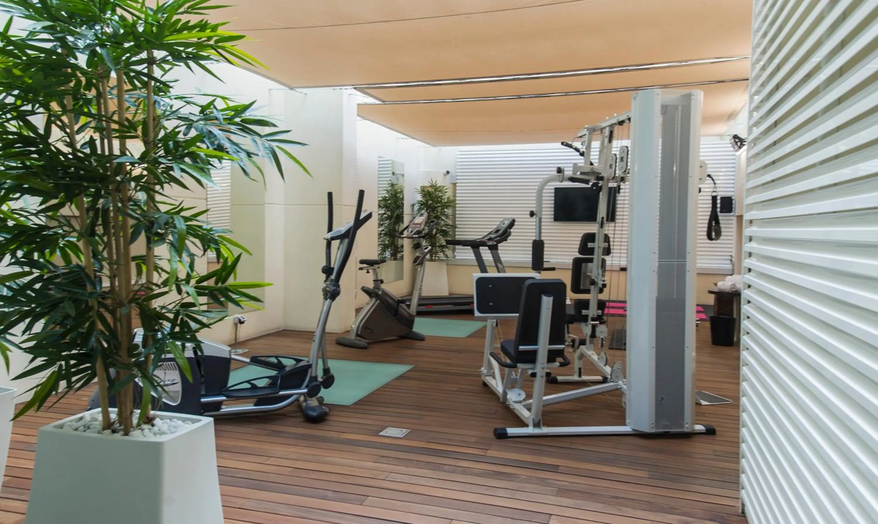 Fitness centre/facilities in Sercotel Coliseo