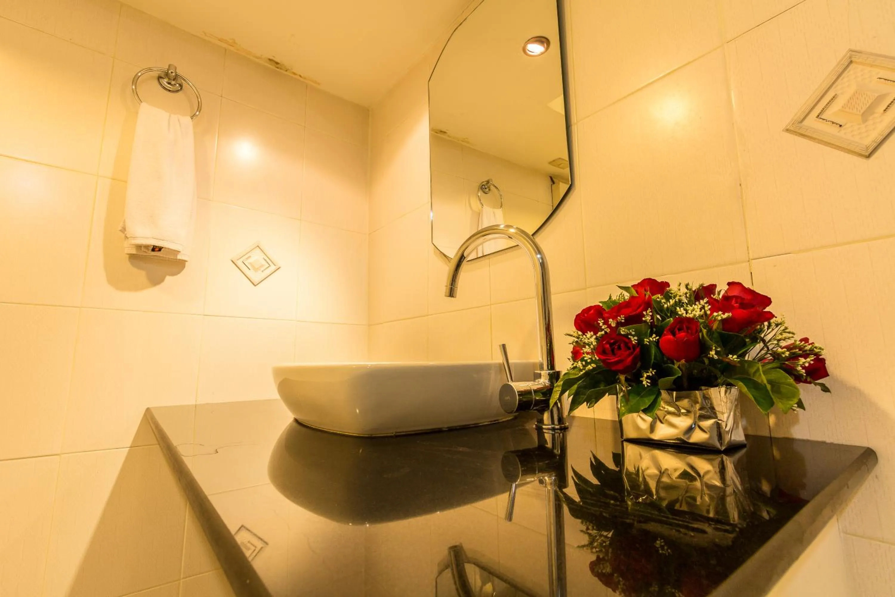 Decorative detail, Bathroom in Sam's Lodge