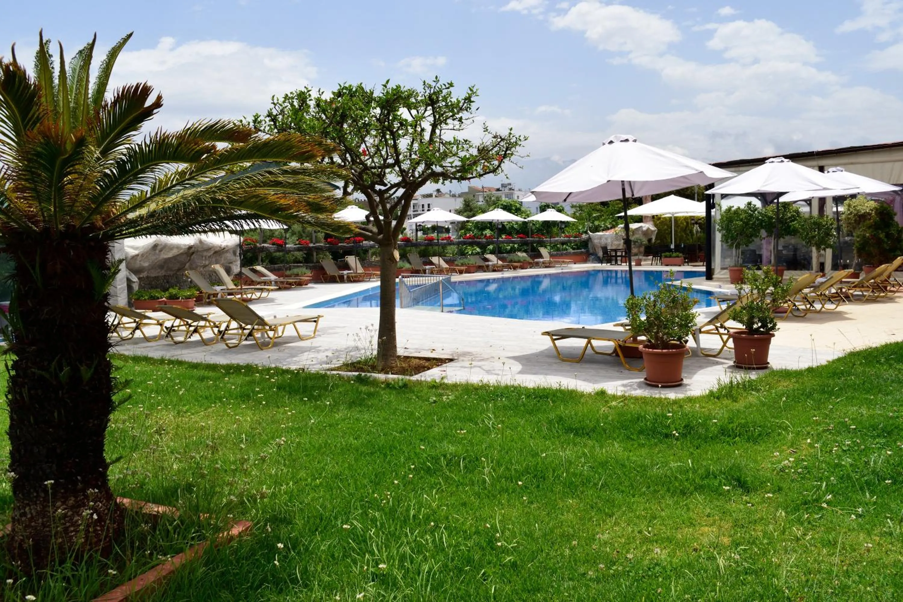 Swimming pool in Jechrina