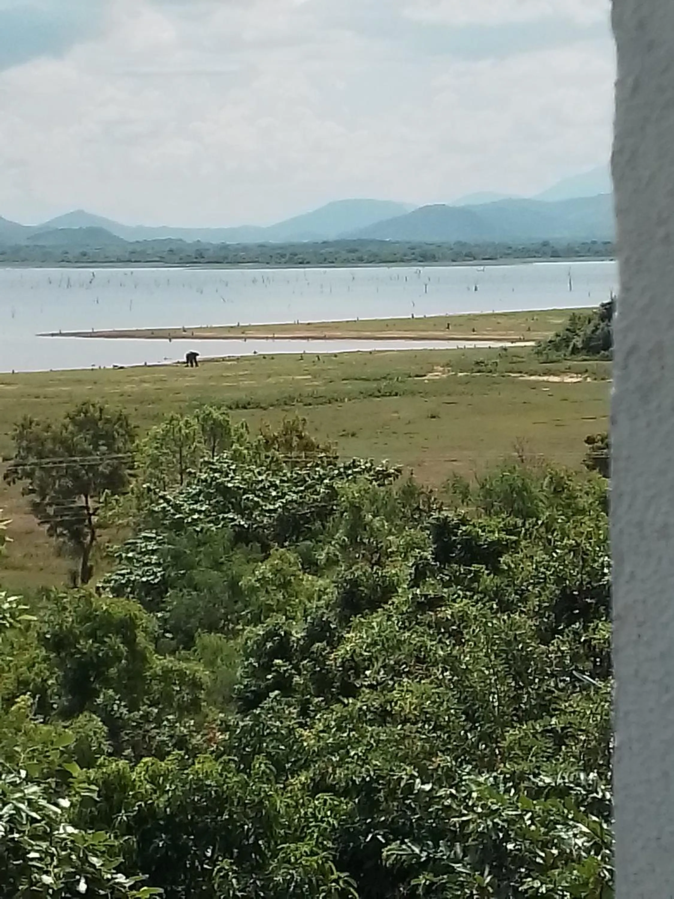 View (from property/room) in Centauria Wild Resort