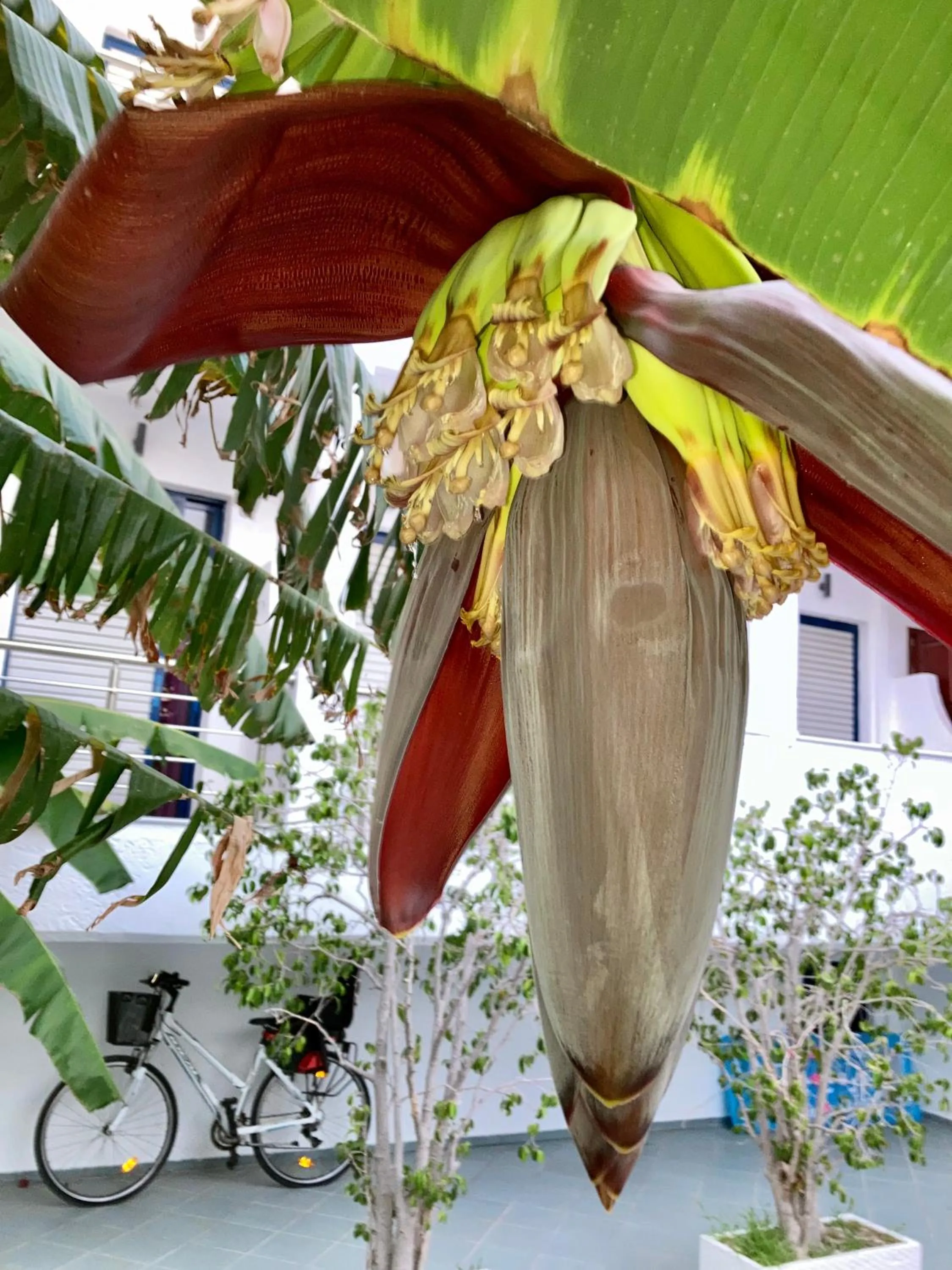 Breakfast in Sea Breeze Hotel