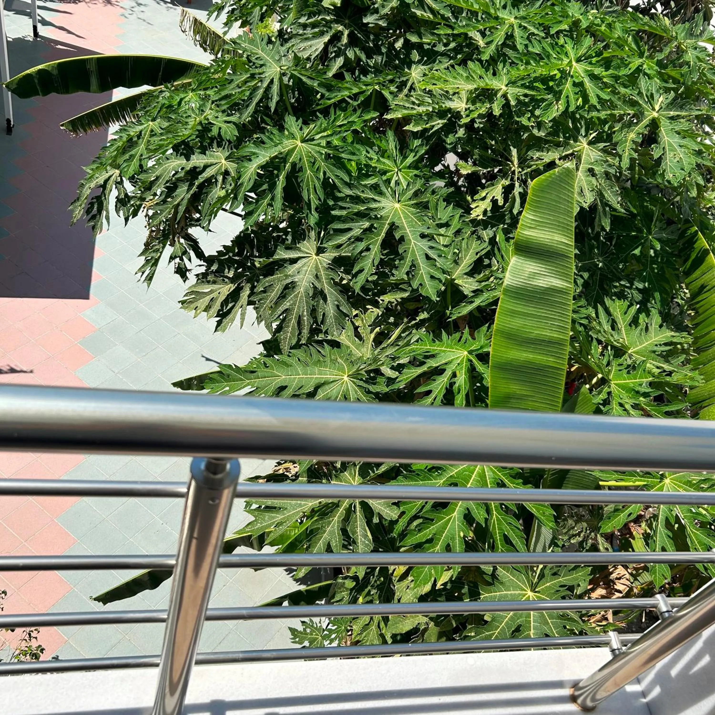 Garden in Sea Breeze Hotel