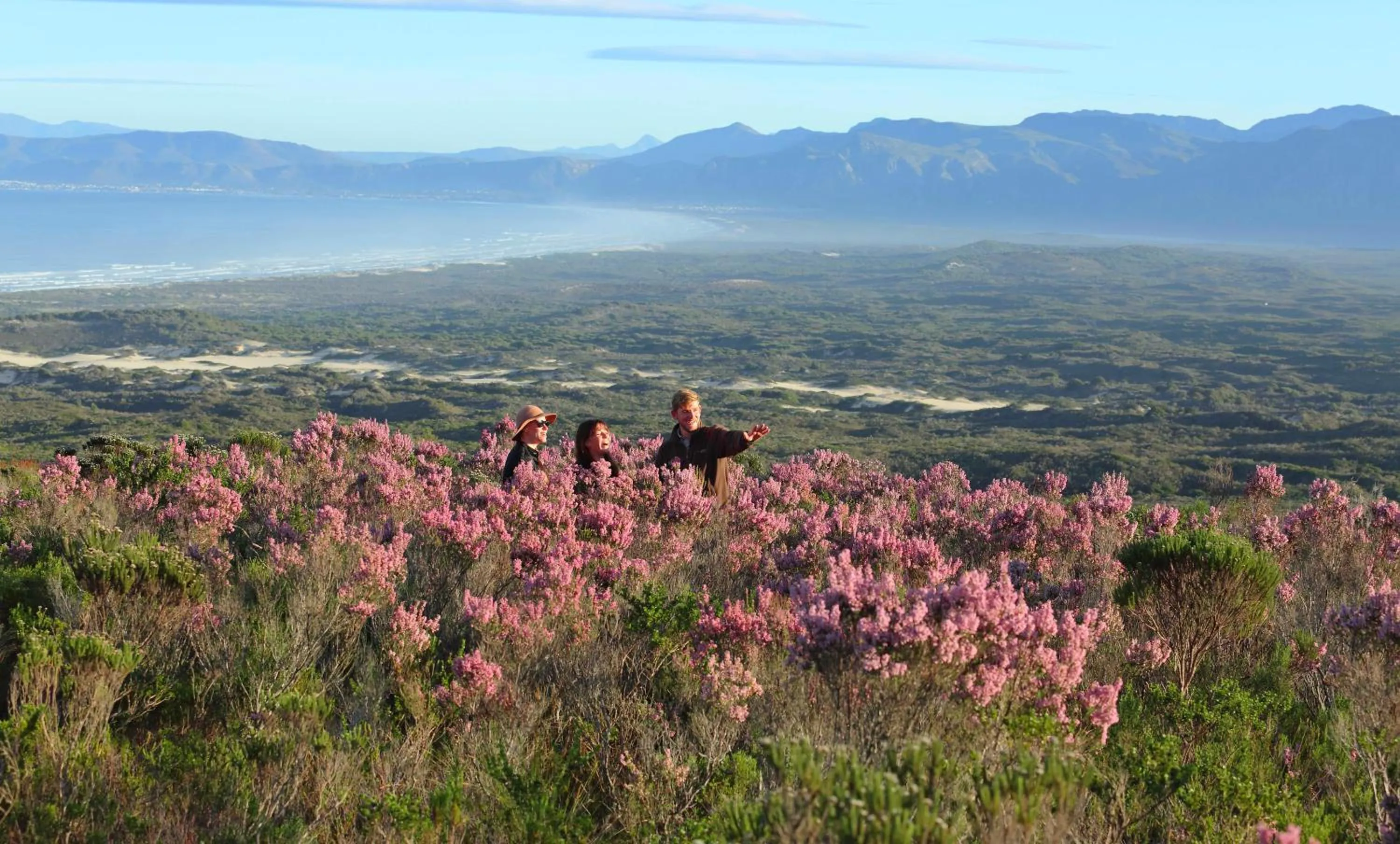 Day in Grootbos Private Nature Reserve