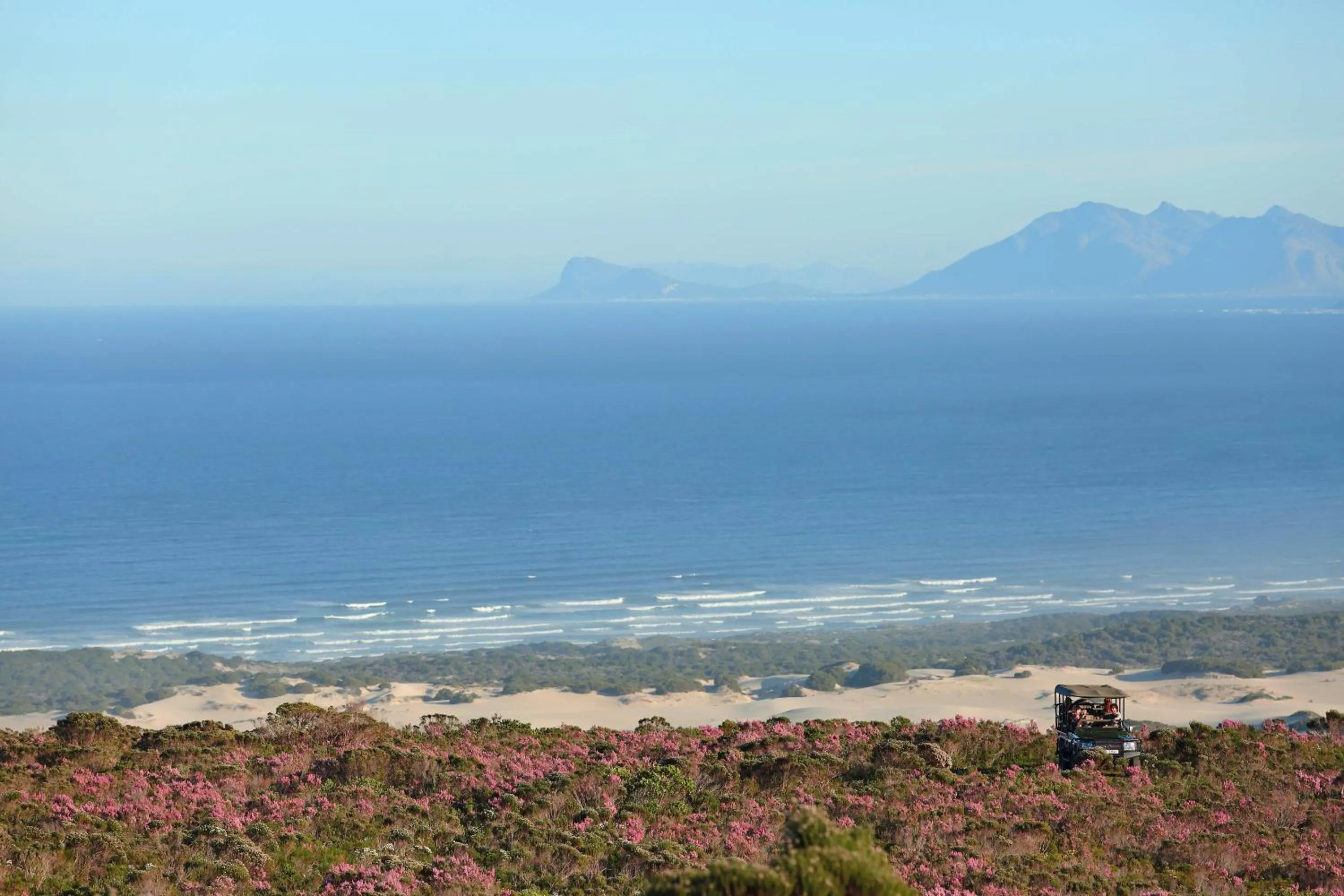Day in Grootbos Private Nature Reserve