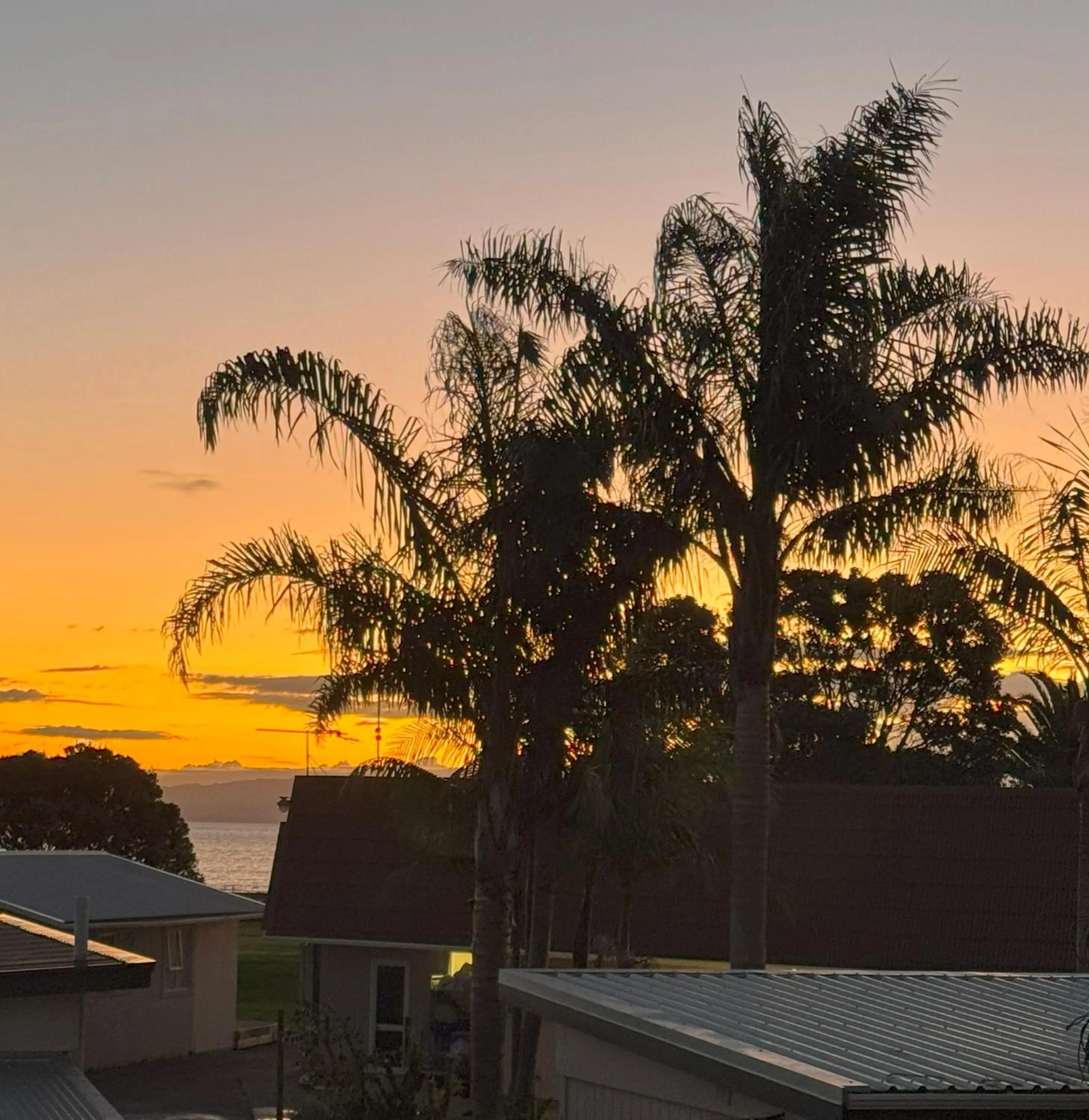 Sea view in Comfort Inn Sunset