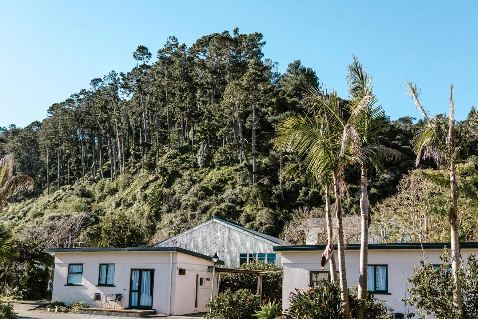 Double or Twin Room with Garden Courtyard in Sunset Motel