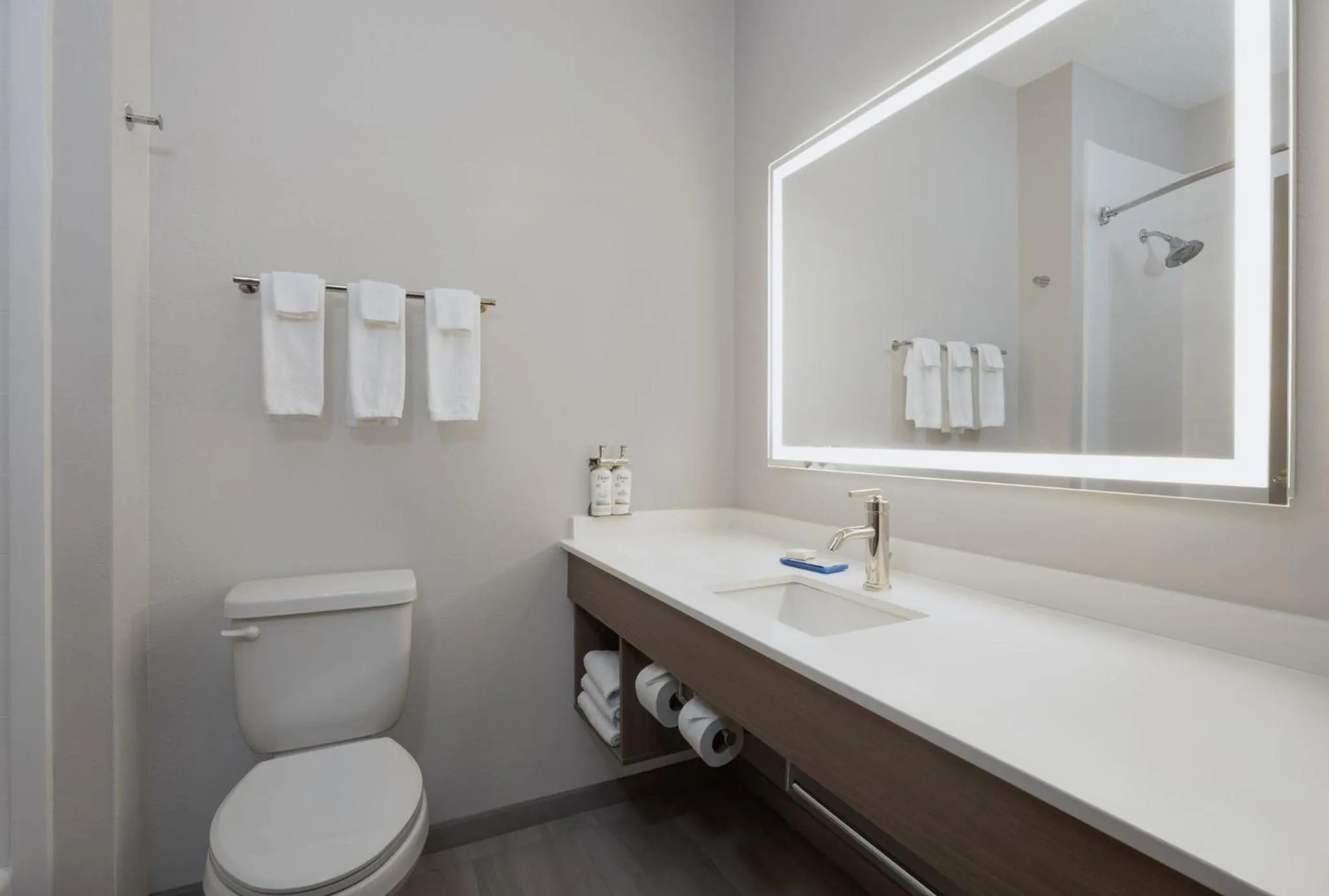 Bathroom in Holiday Inn Express Hotel & Suites Kennesaw Northwest - Acworth by IHG