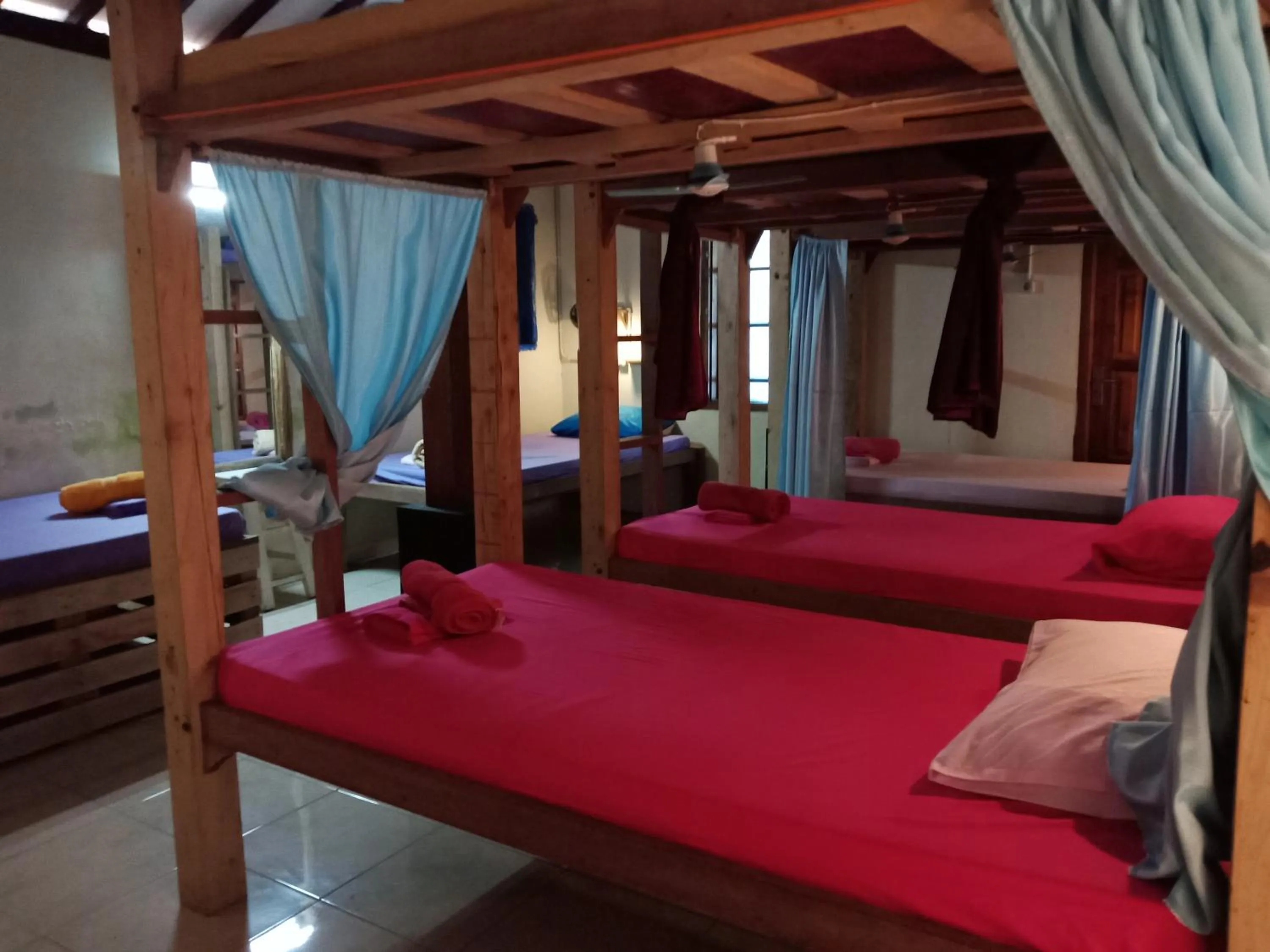 bunk bed, Bed in Arjuna Garden Homestay