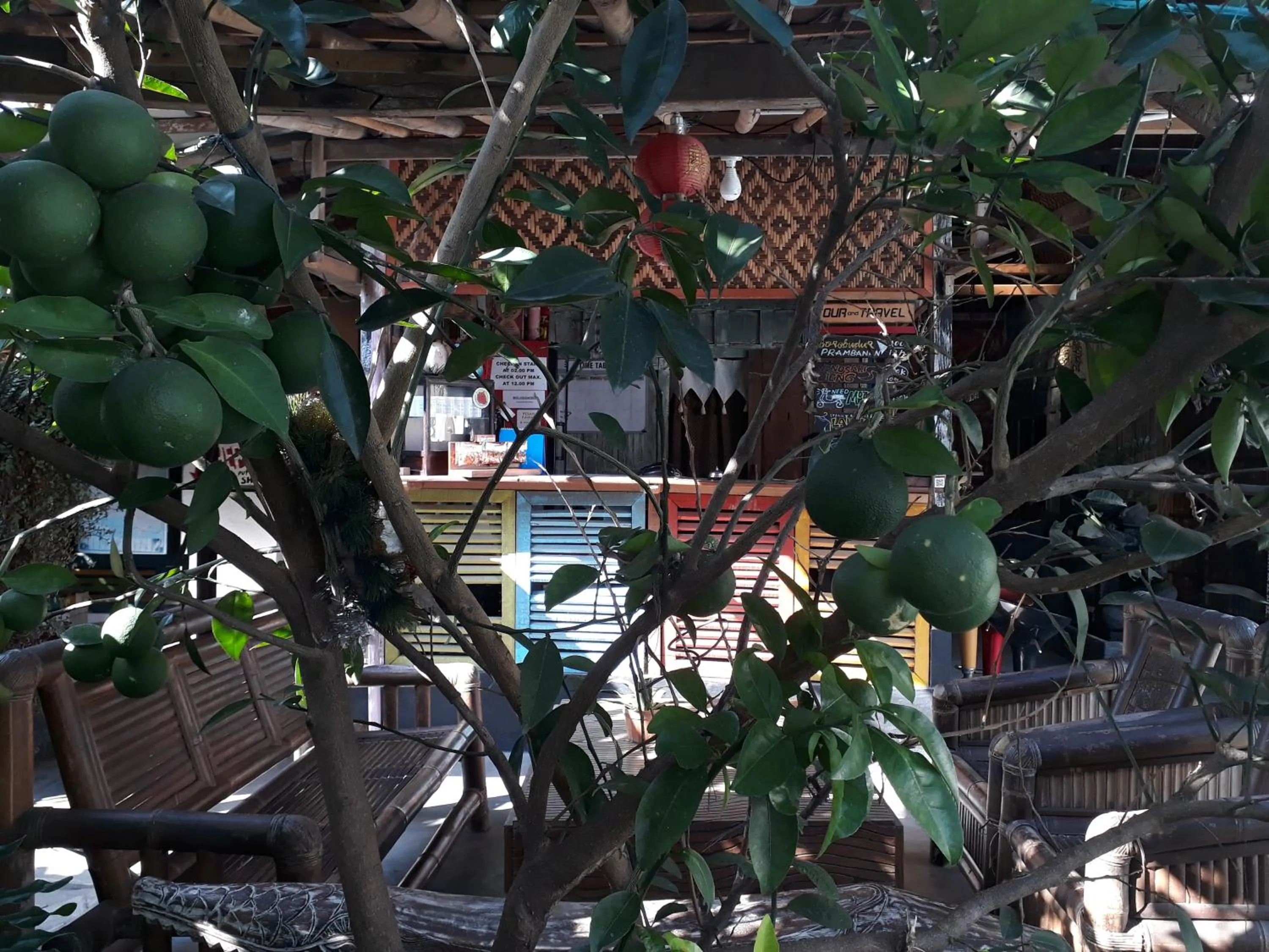 Lobby or reception in Arjuna Garden Homestay