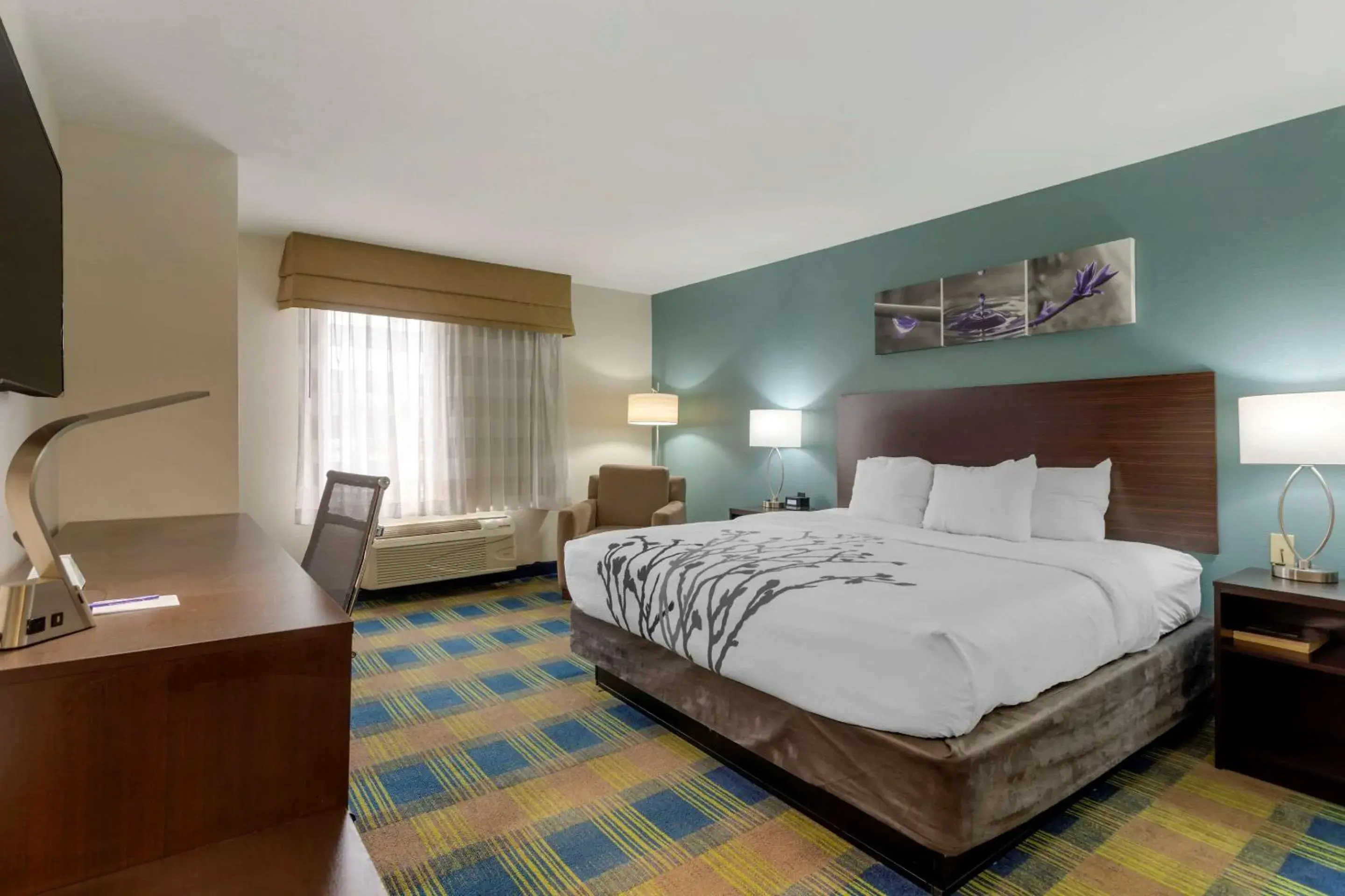 King Room in Sleep Inn & Suites Smyrna - Nashville King Room in Sleep Inn & Suites Smyrna - Nashville