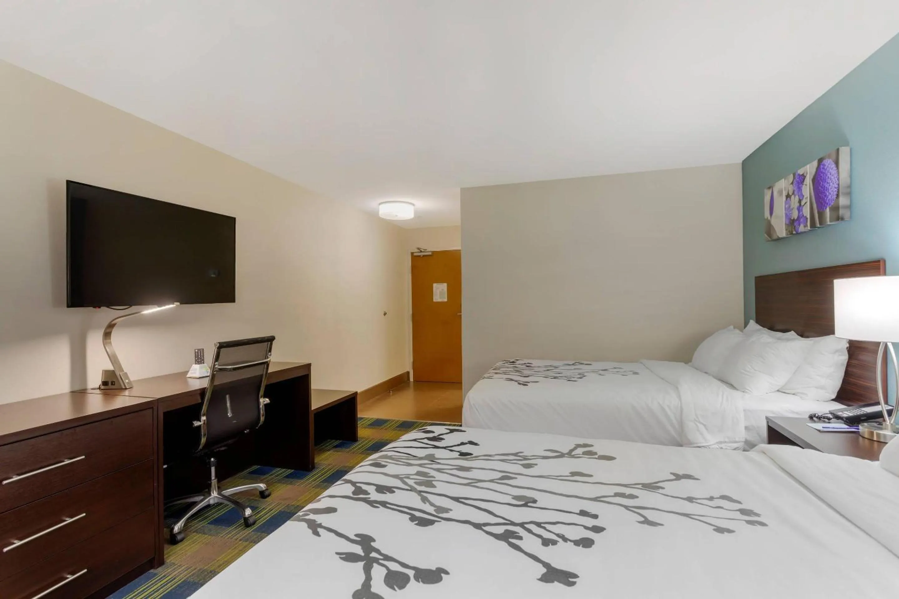Bedroom, Bed in Sleep Inn & Suites Smyrna - Nashville Area