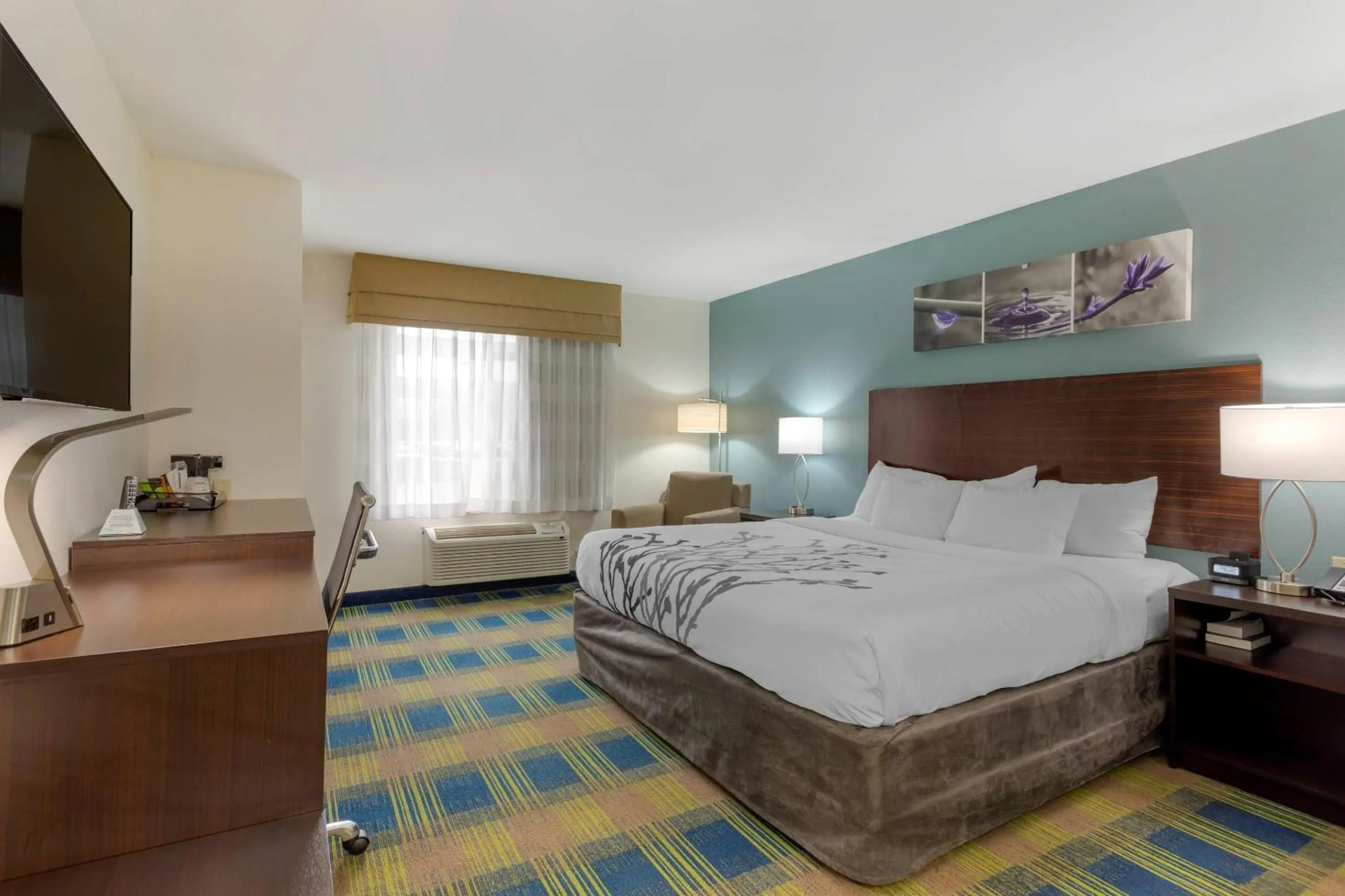 Bedroom, Bed in Sleep Inn & Suites Smyrna - Nashville Area