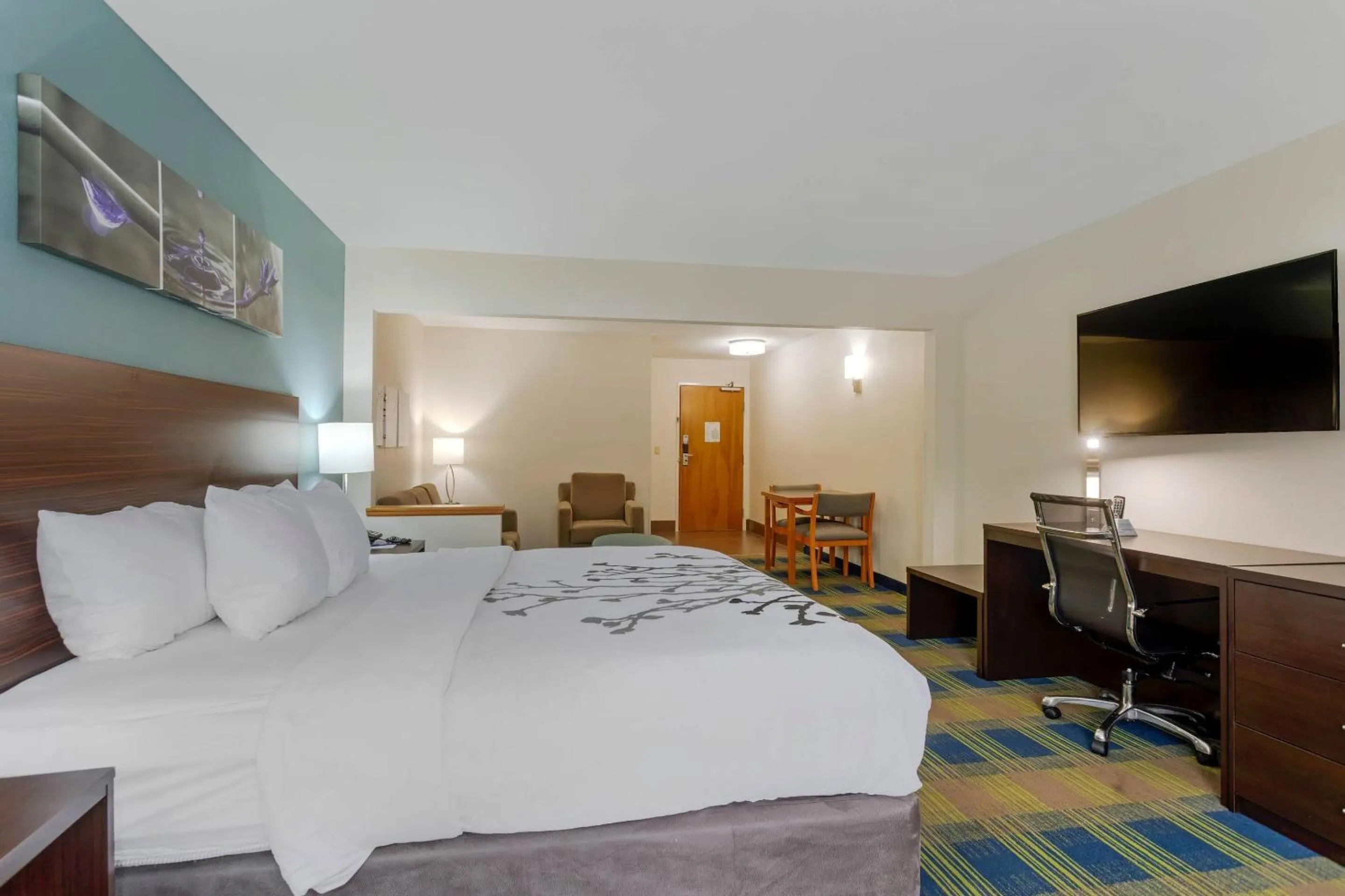Bedroom, Bed in Sleep Inn & Suites Smyrna - Nashville Area