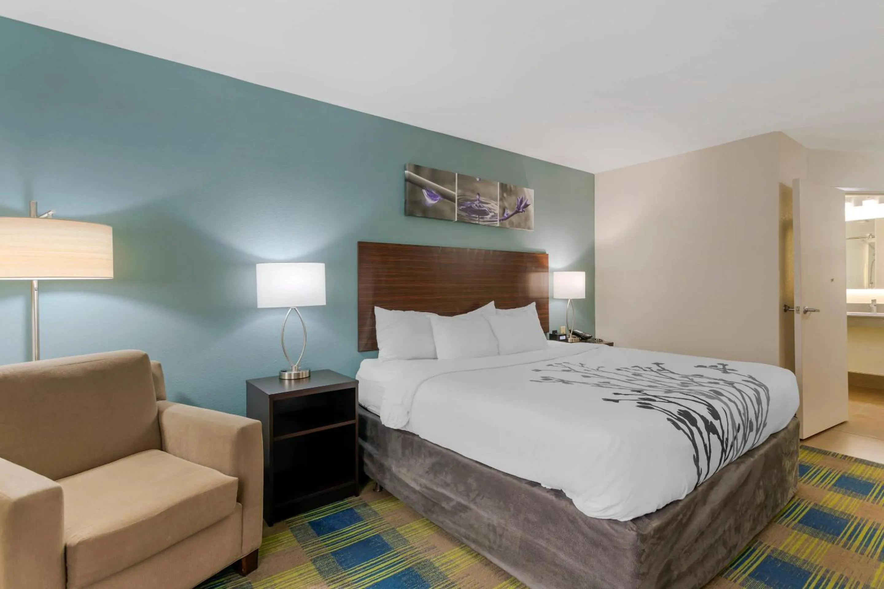 Bedroom, Bed in Sleep Inn & Suites Smyrna - Nashville Area
