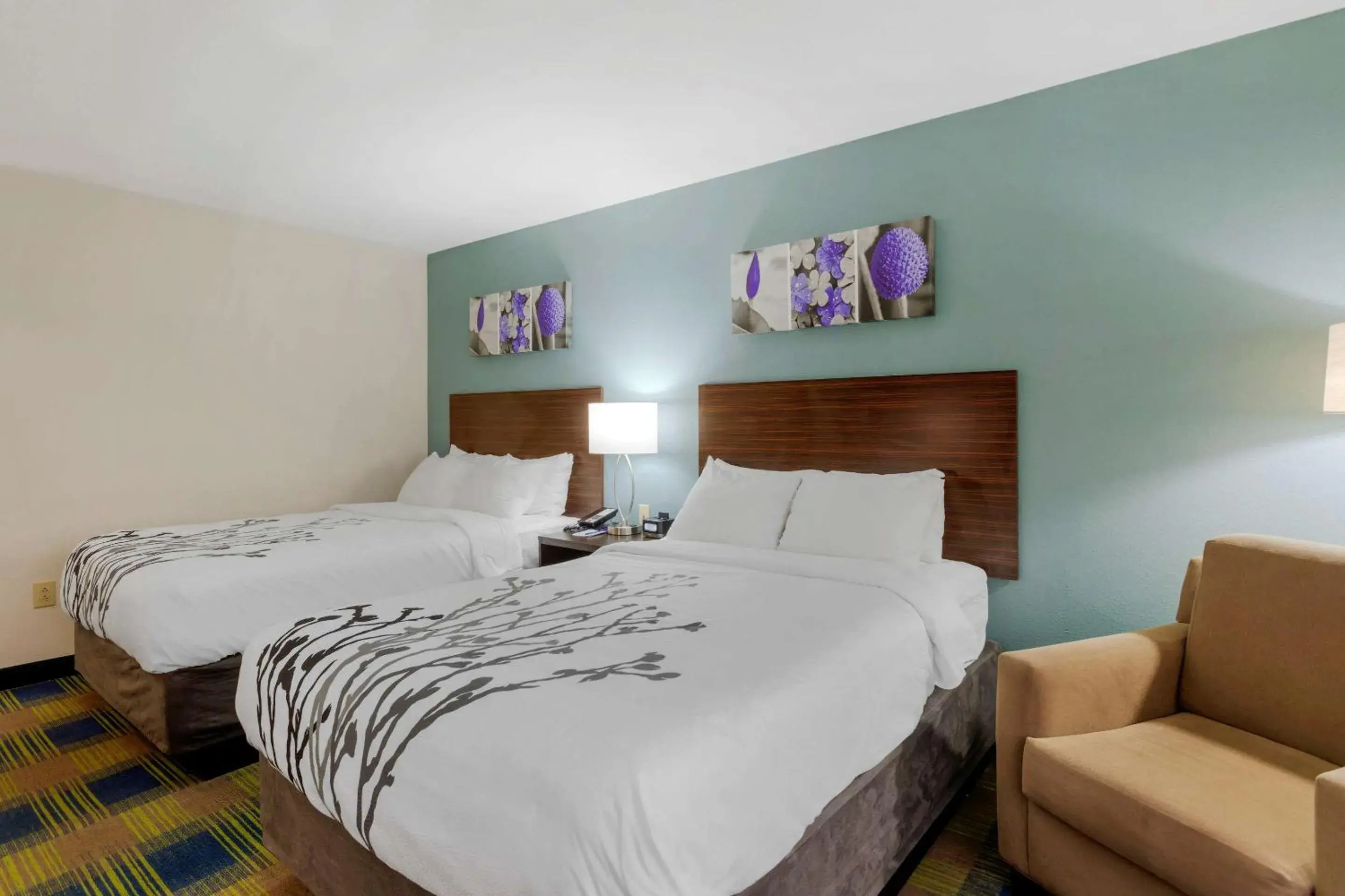 Double Room with Two Double Beds in Sleep Inn & Suites Smyrna - Nashville Double Room with Two Double Beds in Sleep Inn & Suites Smyrna - Nashville