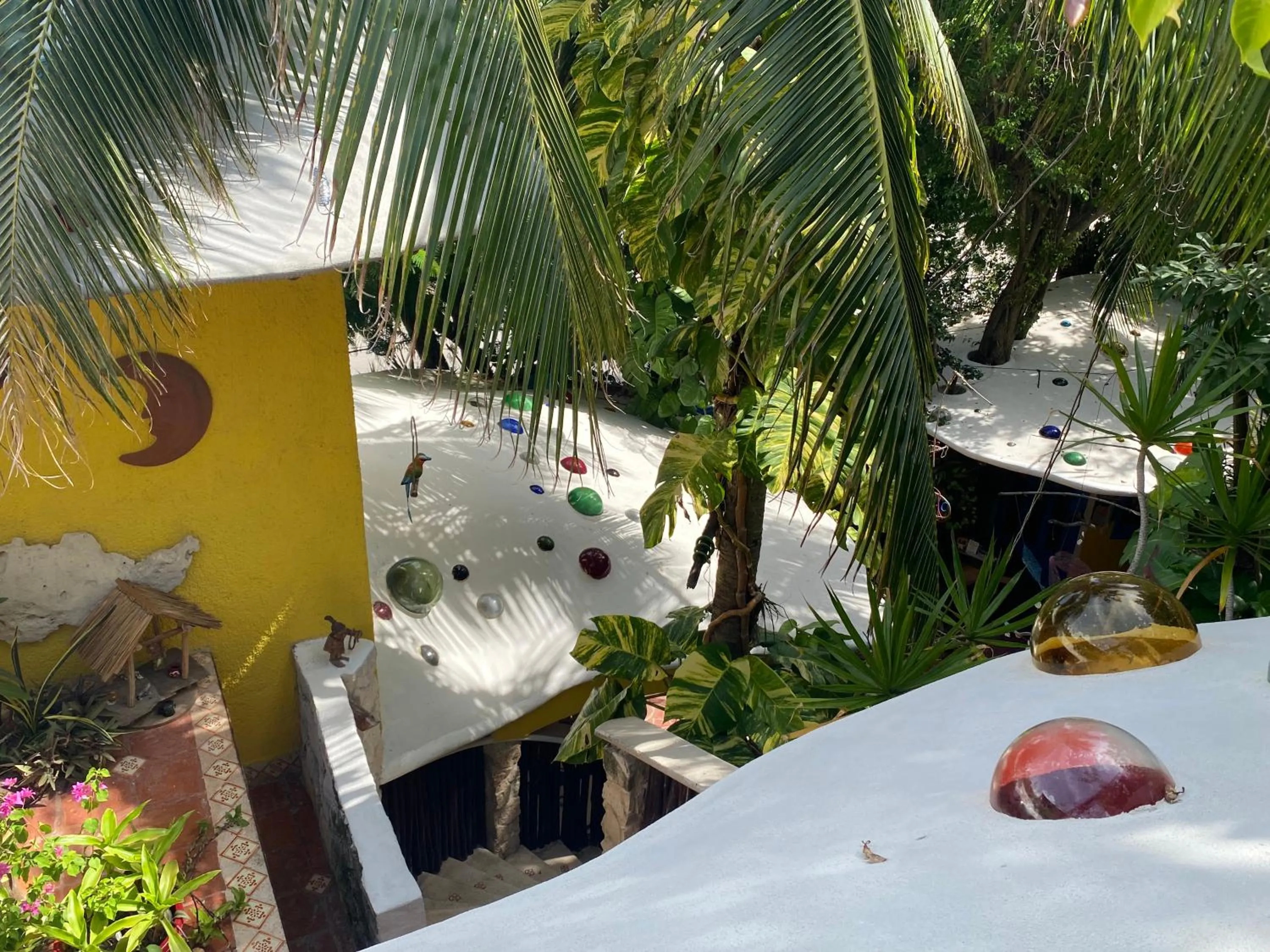 Garden in Maison Tulum