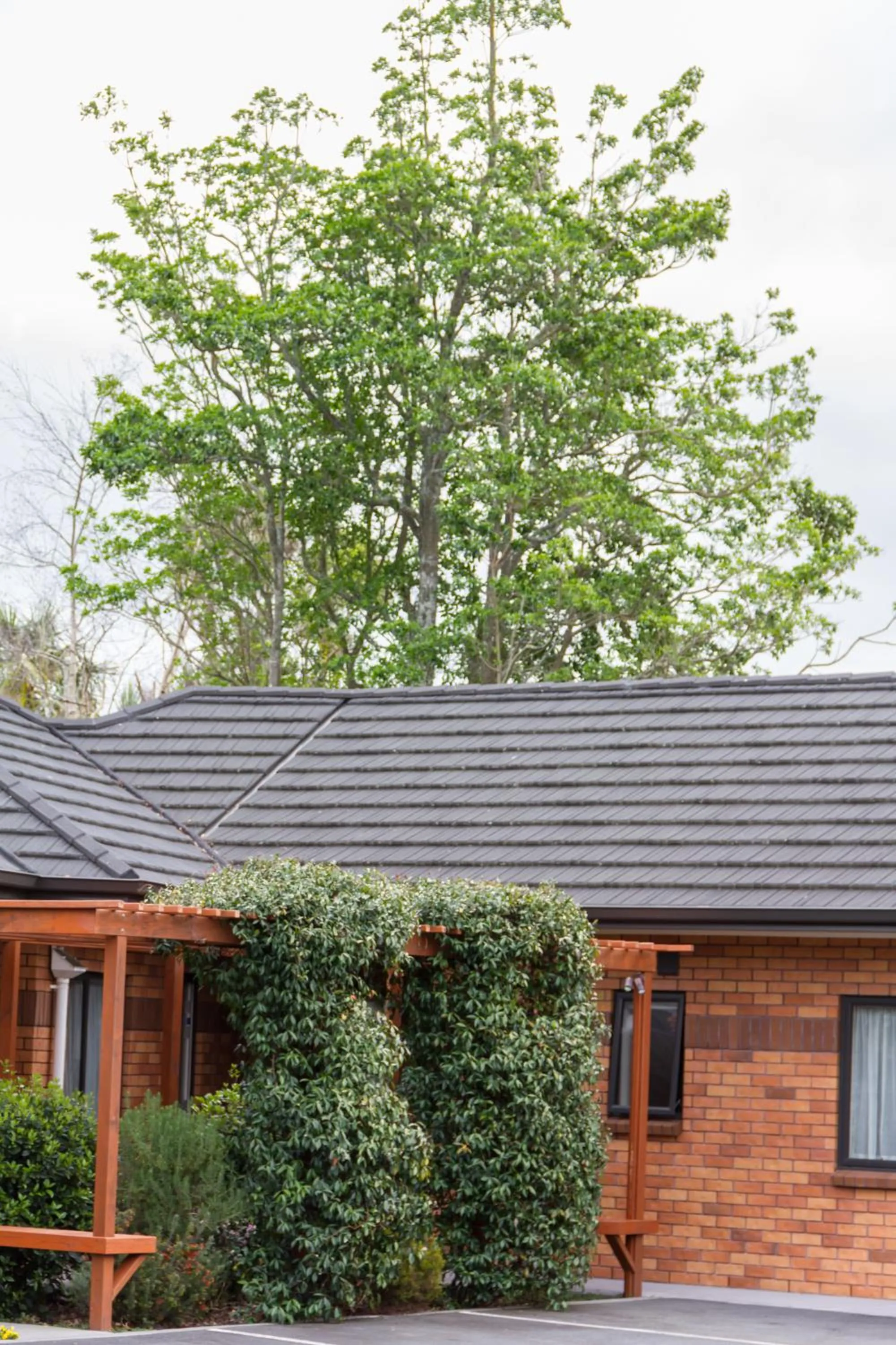 Garden in Albert Court Motor Lodge