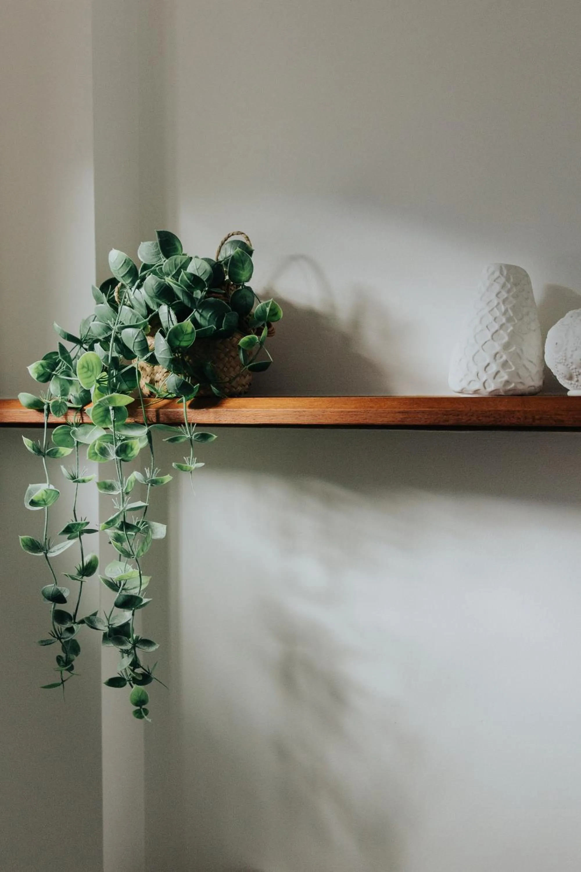 Decorative detail in Pandanus Palms Holiday Resort