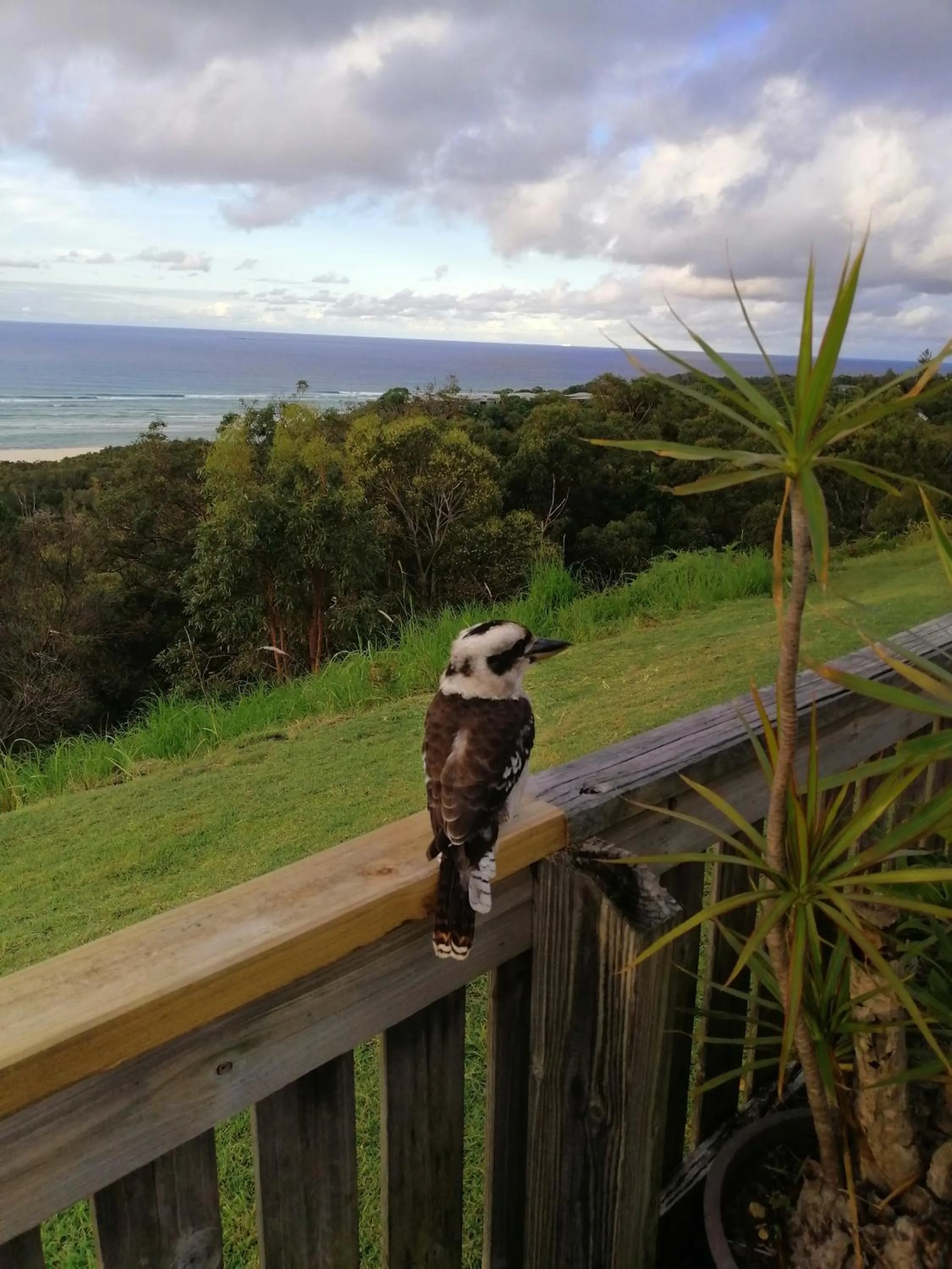 View (from property/room) in Pandanus Palms Holiday Resort