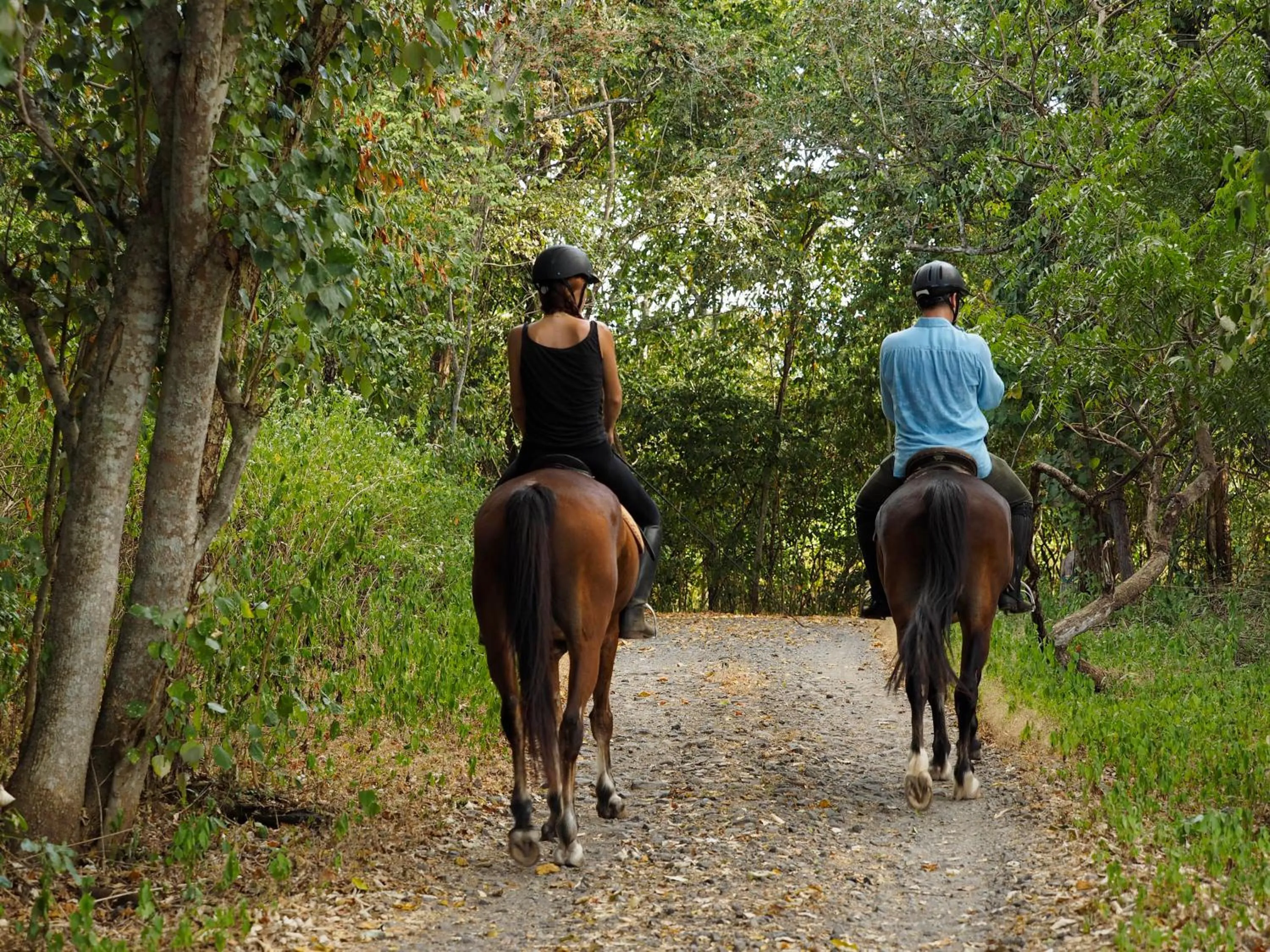 Activities in The Menjangan by LifestyleRetreats