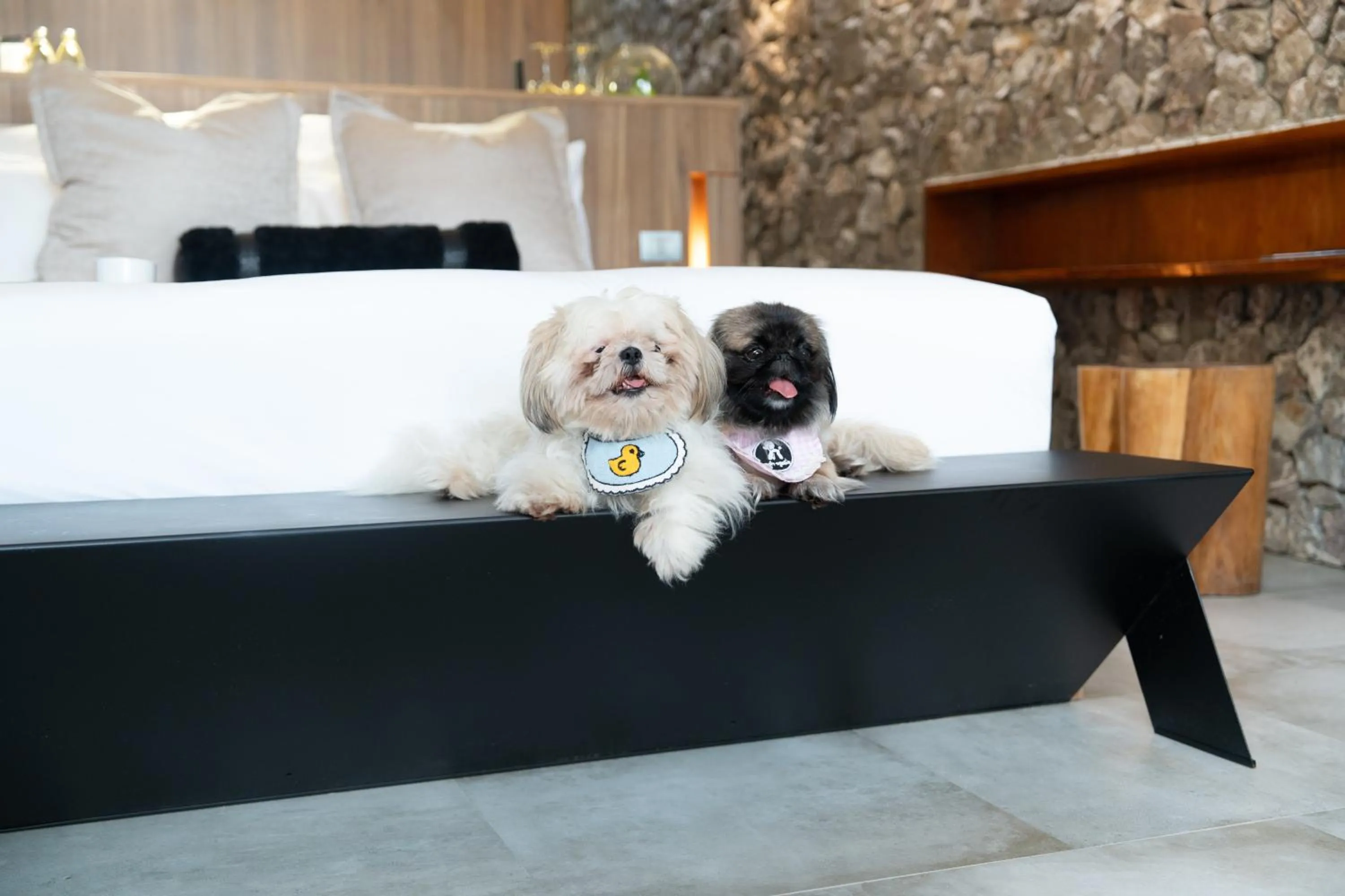 Tolani Resort Kui Buri