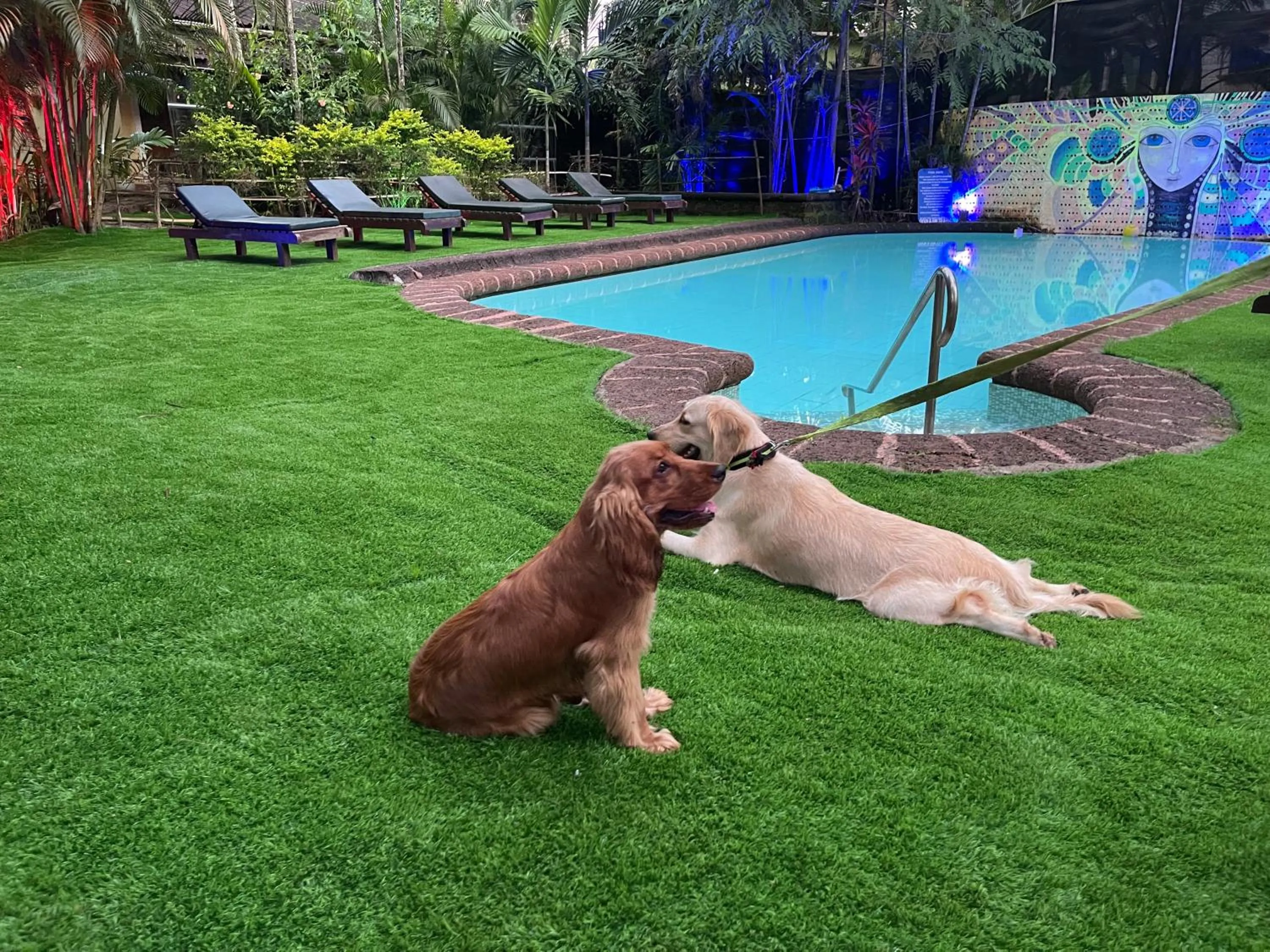 Presa di Goa - Managed by Smith and Appy