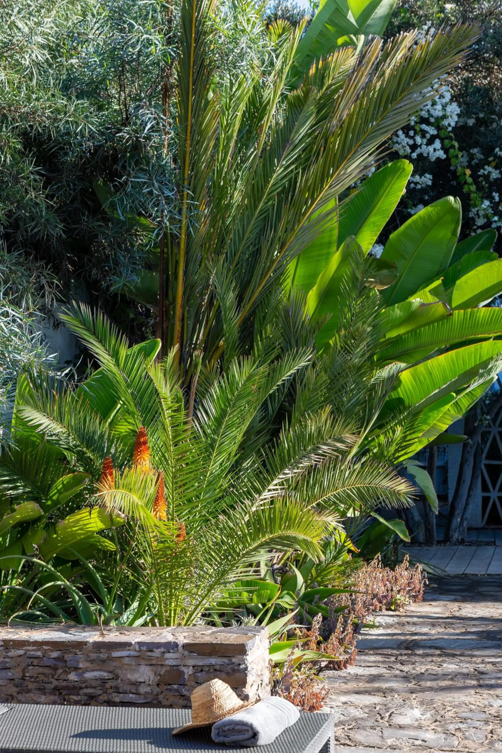 Garden in Le Riad Villa Blanche