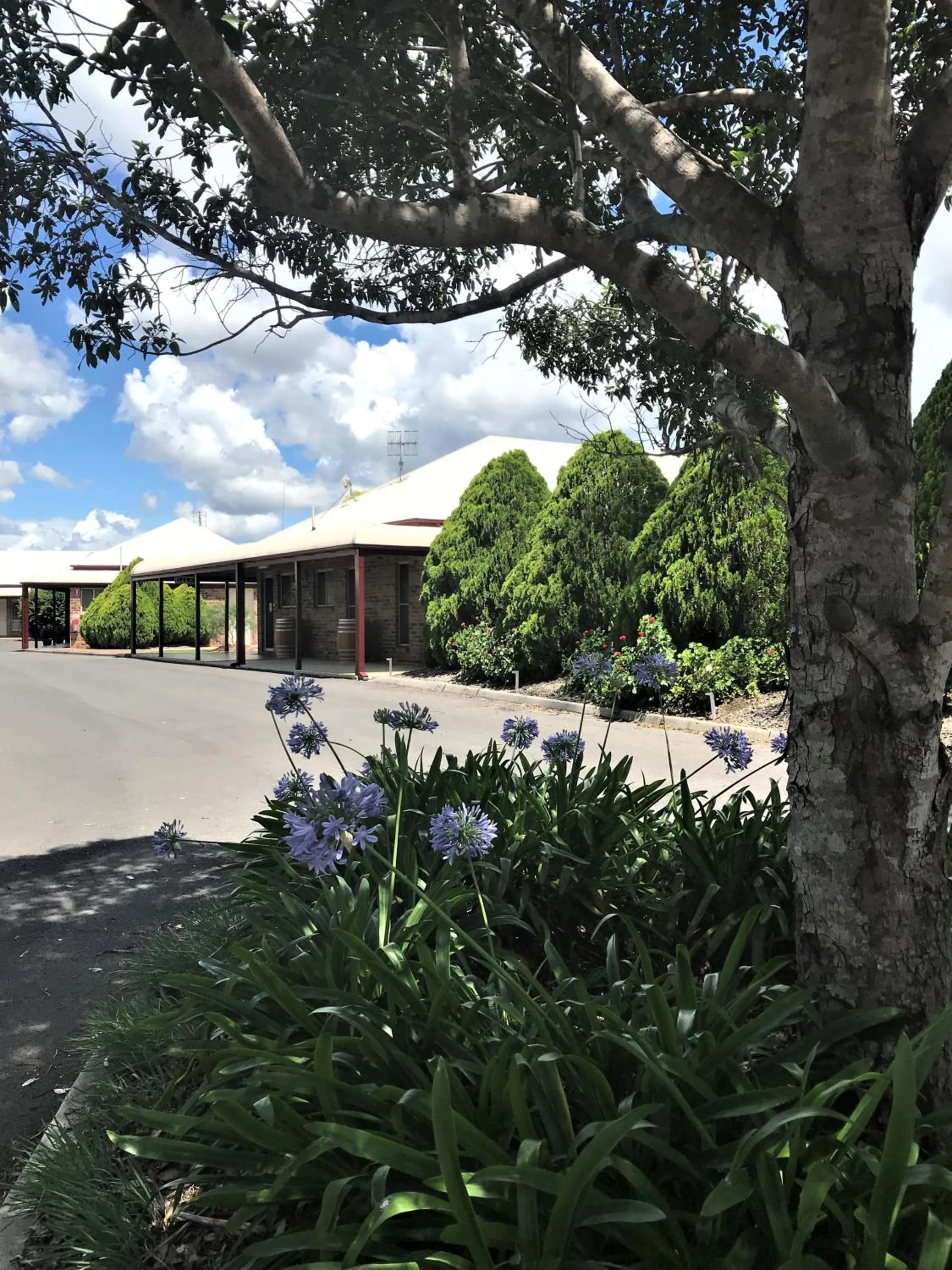 Property building in Crows Nest Motel