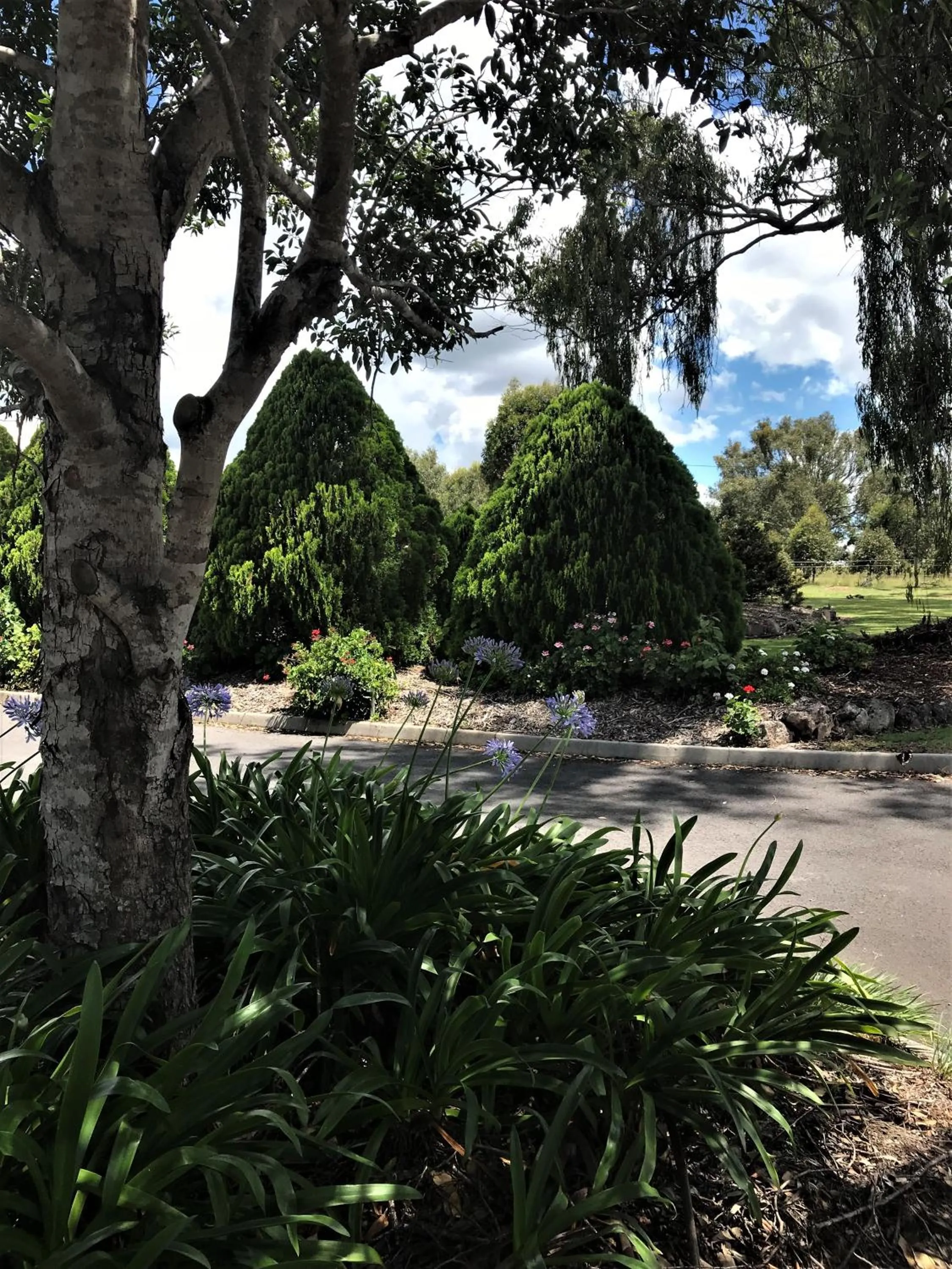 Garden in Crows Nest Motel