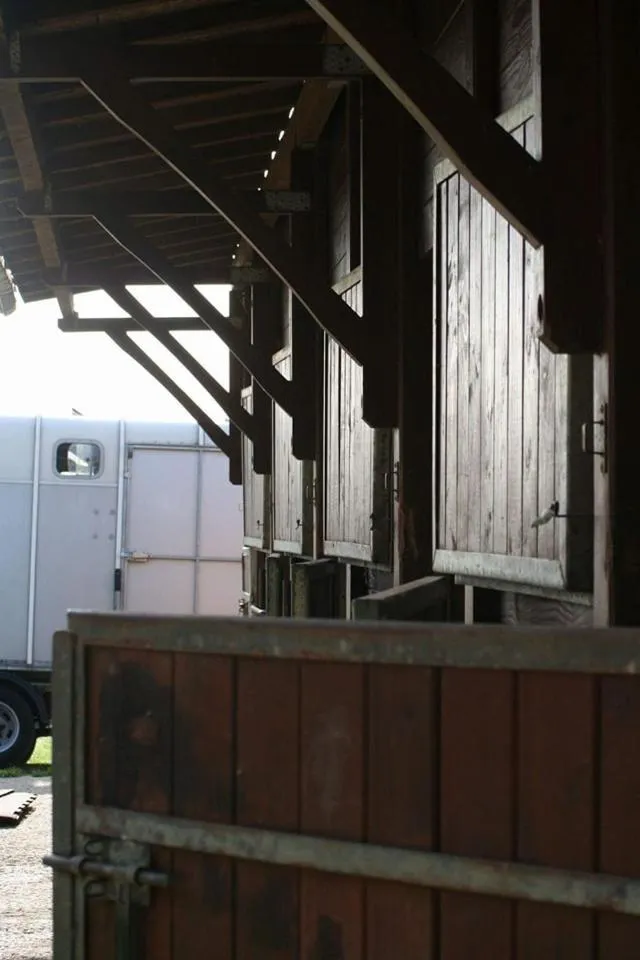 Horse-riding in B&B Les Quatre Vents