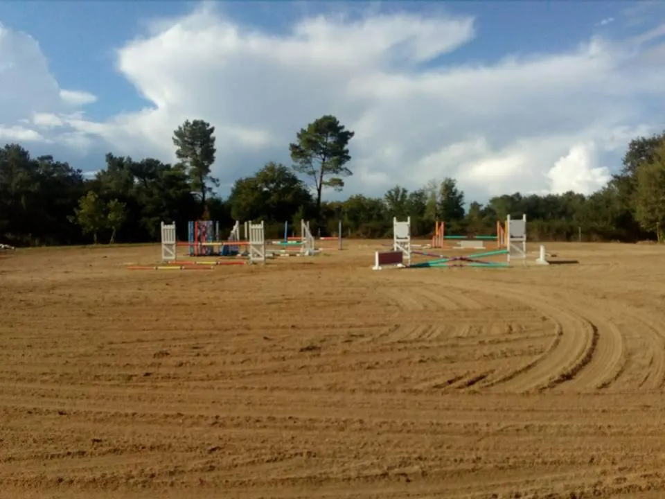 Horse-riding in B&B Les Quatre Vents