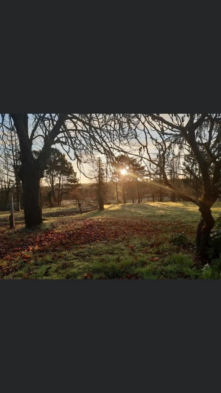B&B Les Quatre Vents