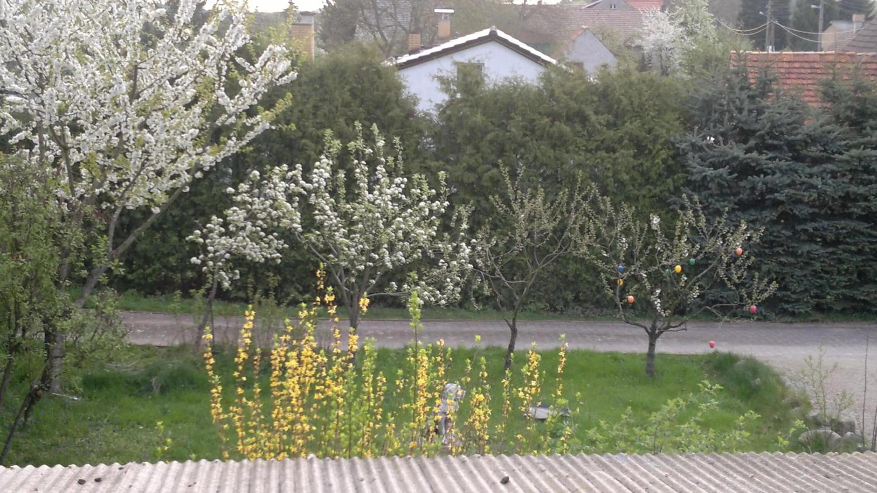 Spring in Restaurant Pension Lubusch Gahro