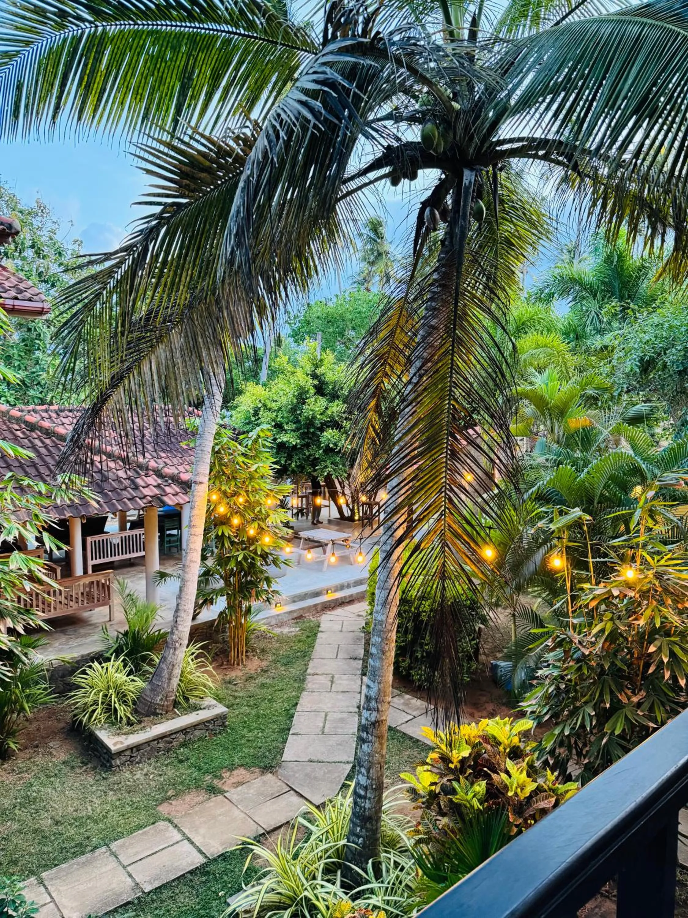 Garden view in Green turtle