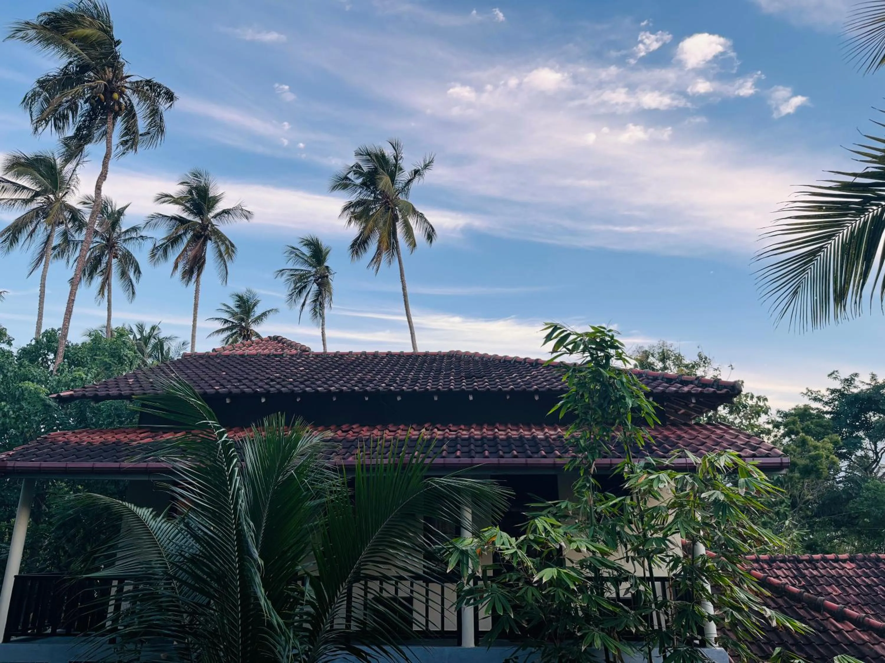 Property building in Green turtle