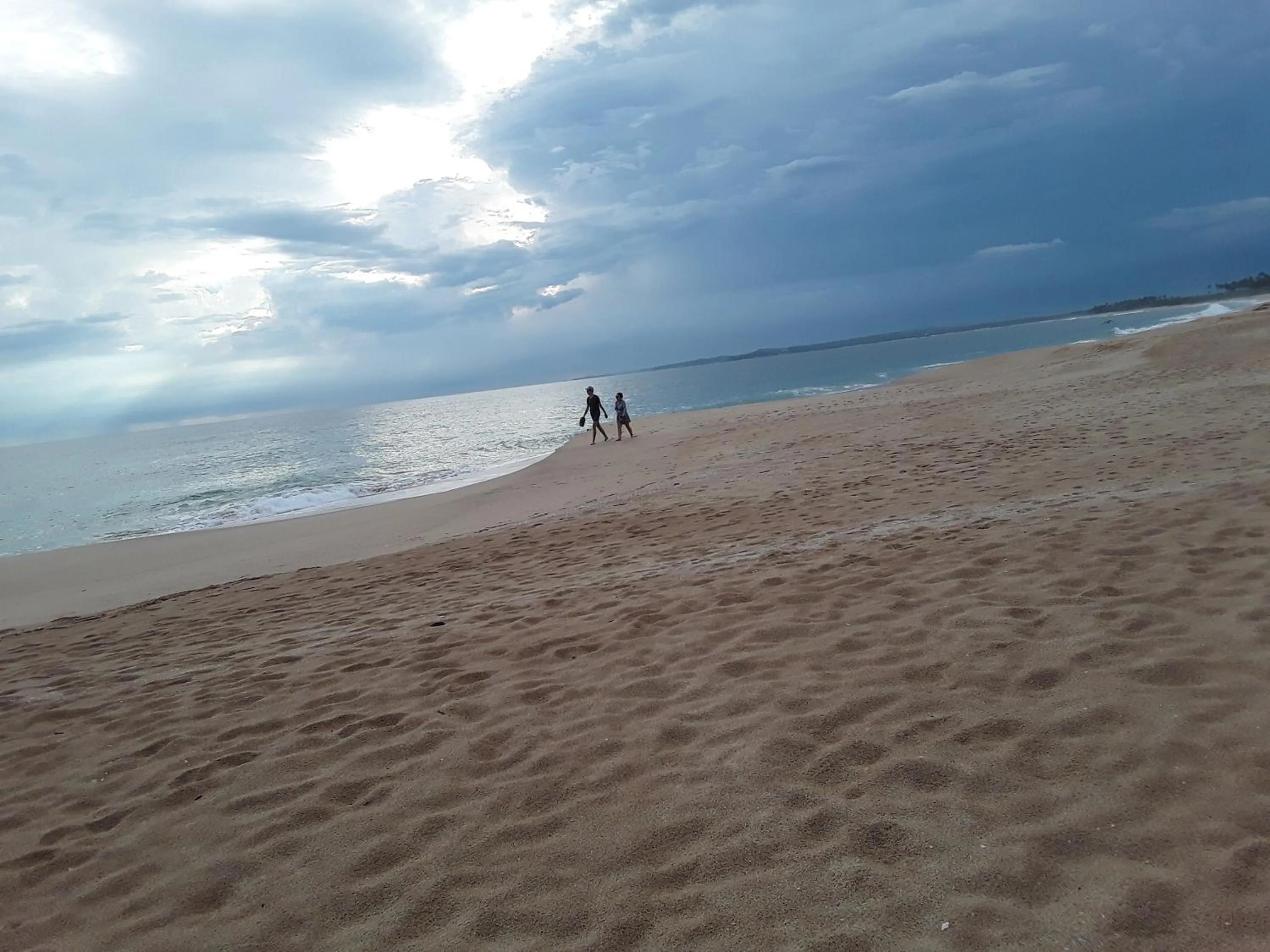 Beach in Green turtle