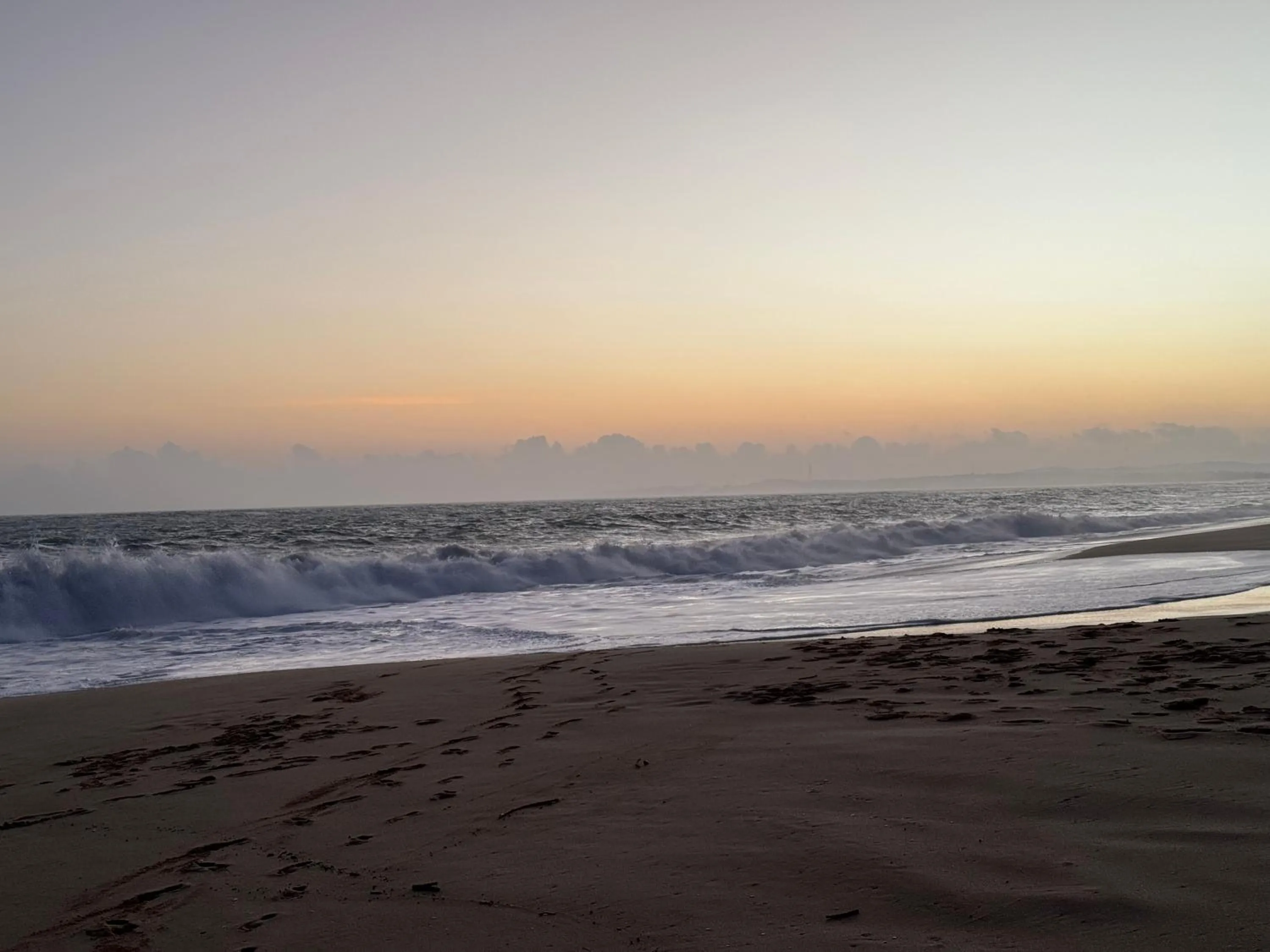 Beach in Green turtle