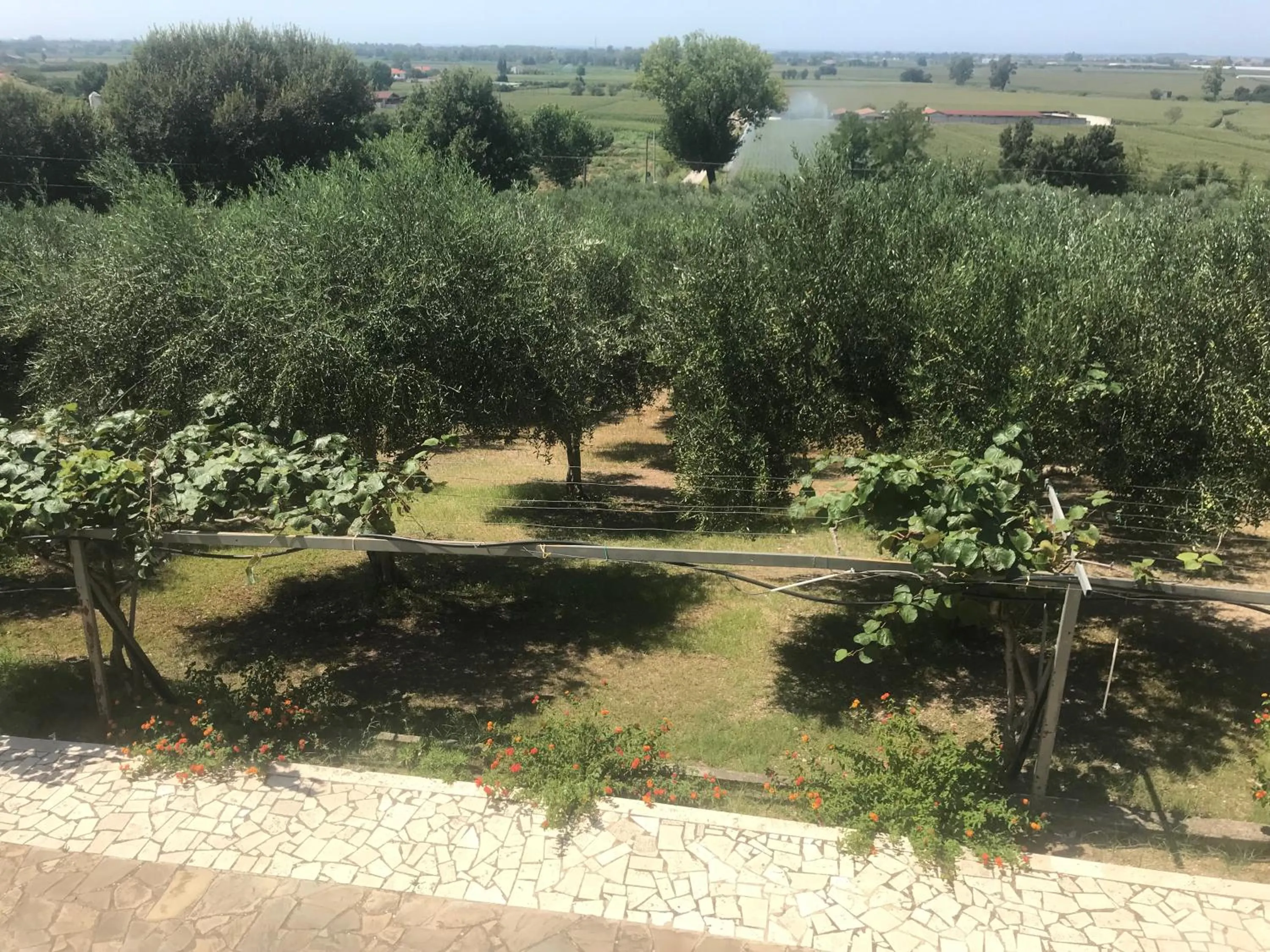 Garden in Residenza Giancesare Family Apartments