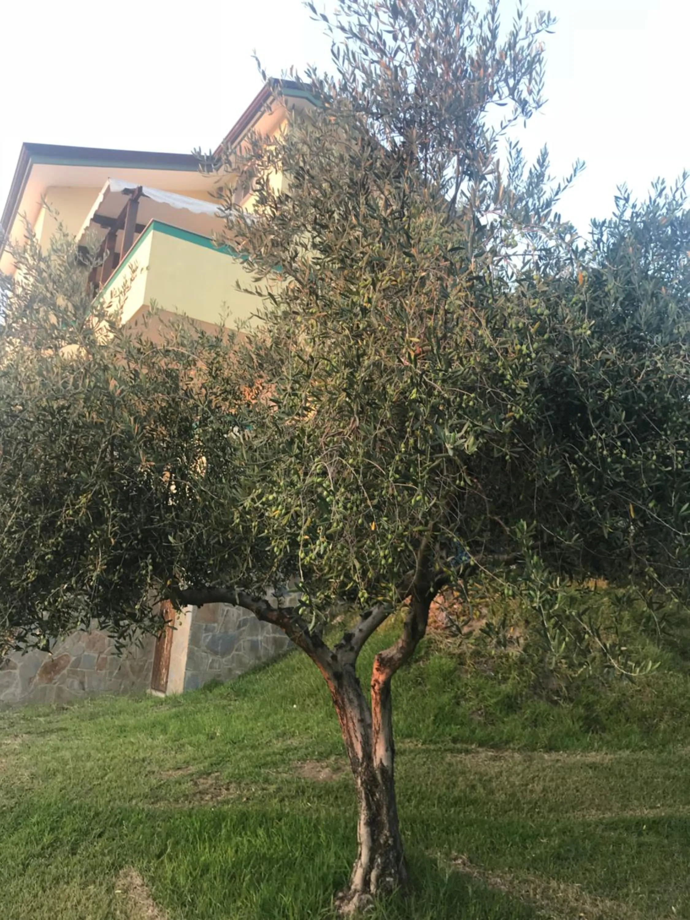 Garden in Residenza Giancesare Family Apartments