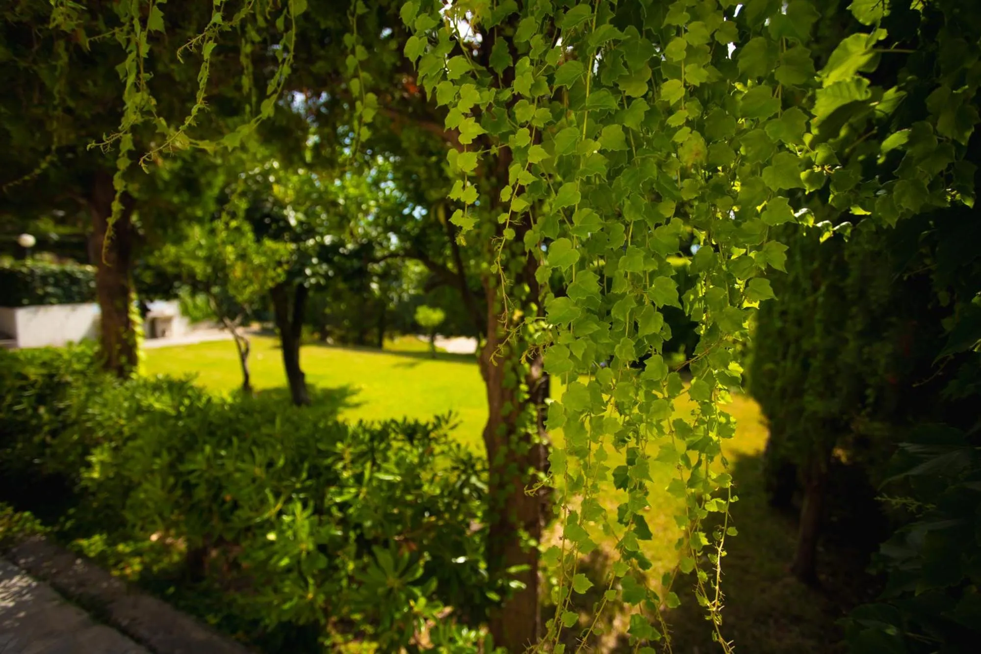 Garden in Residenza Giancesare Family Apartments
