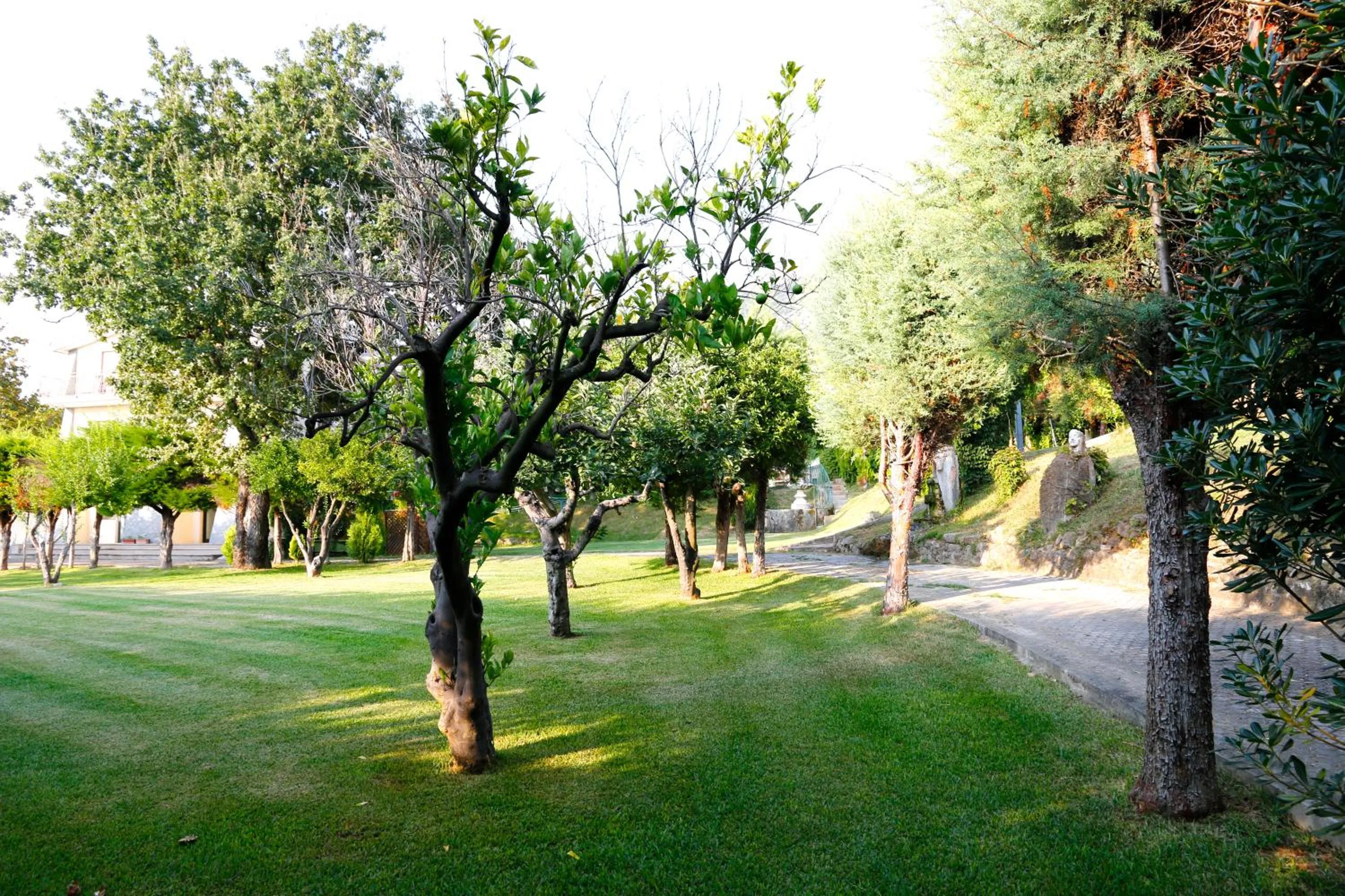 Garden in Residenza Giancesare Family Apartments
