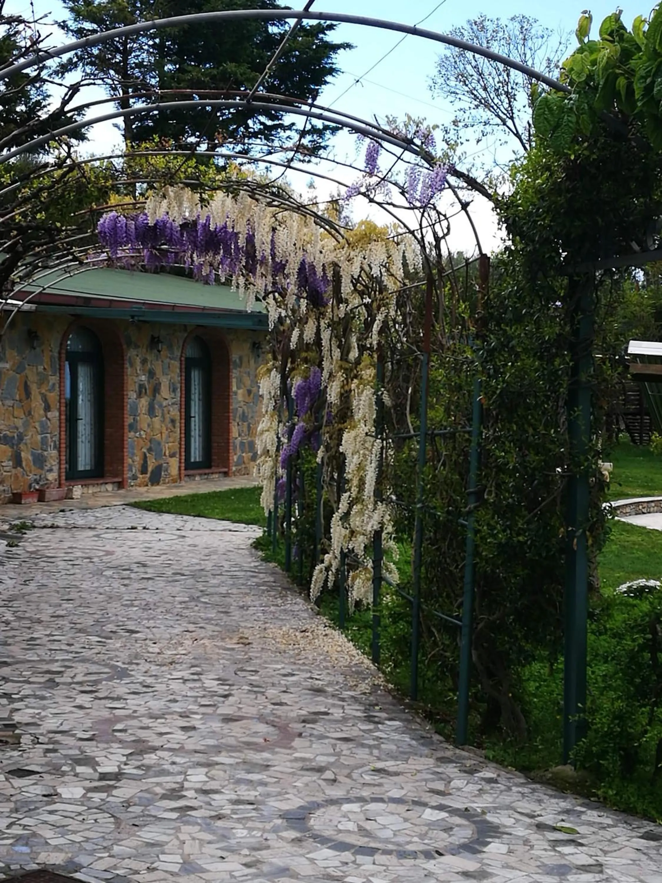 Garden view in Residenza Giancesare Family Apartments