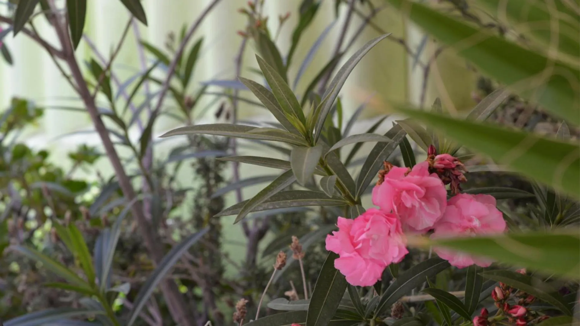 Balcony/Terrace in Paraiso Hostel